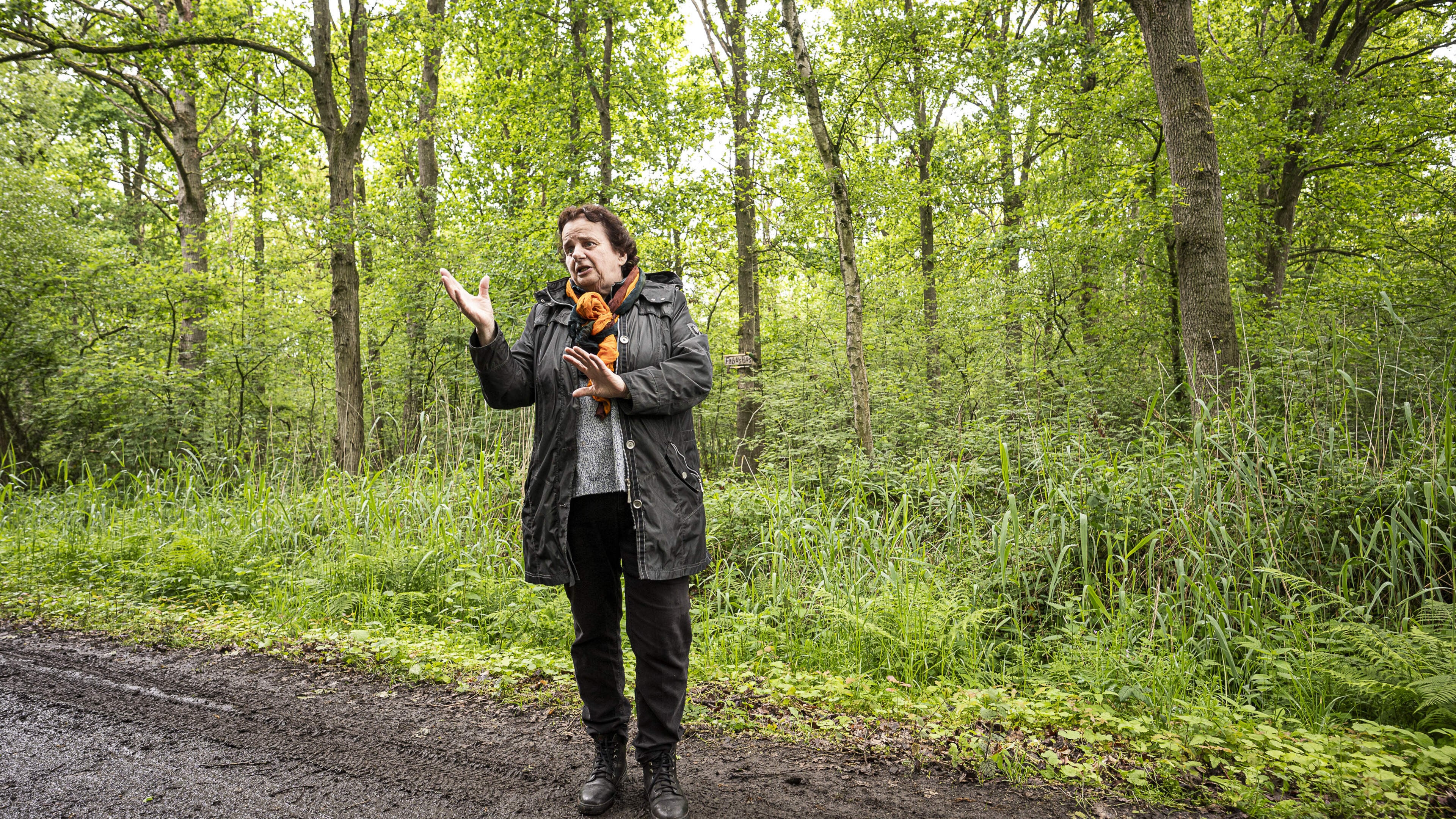 Maartje Spronk kocht stukje bos en geeft het nu terug aan de natuur; het Fabusbos is voorgoed verbod
