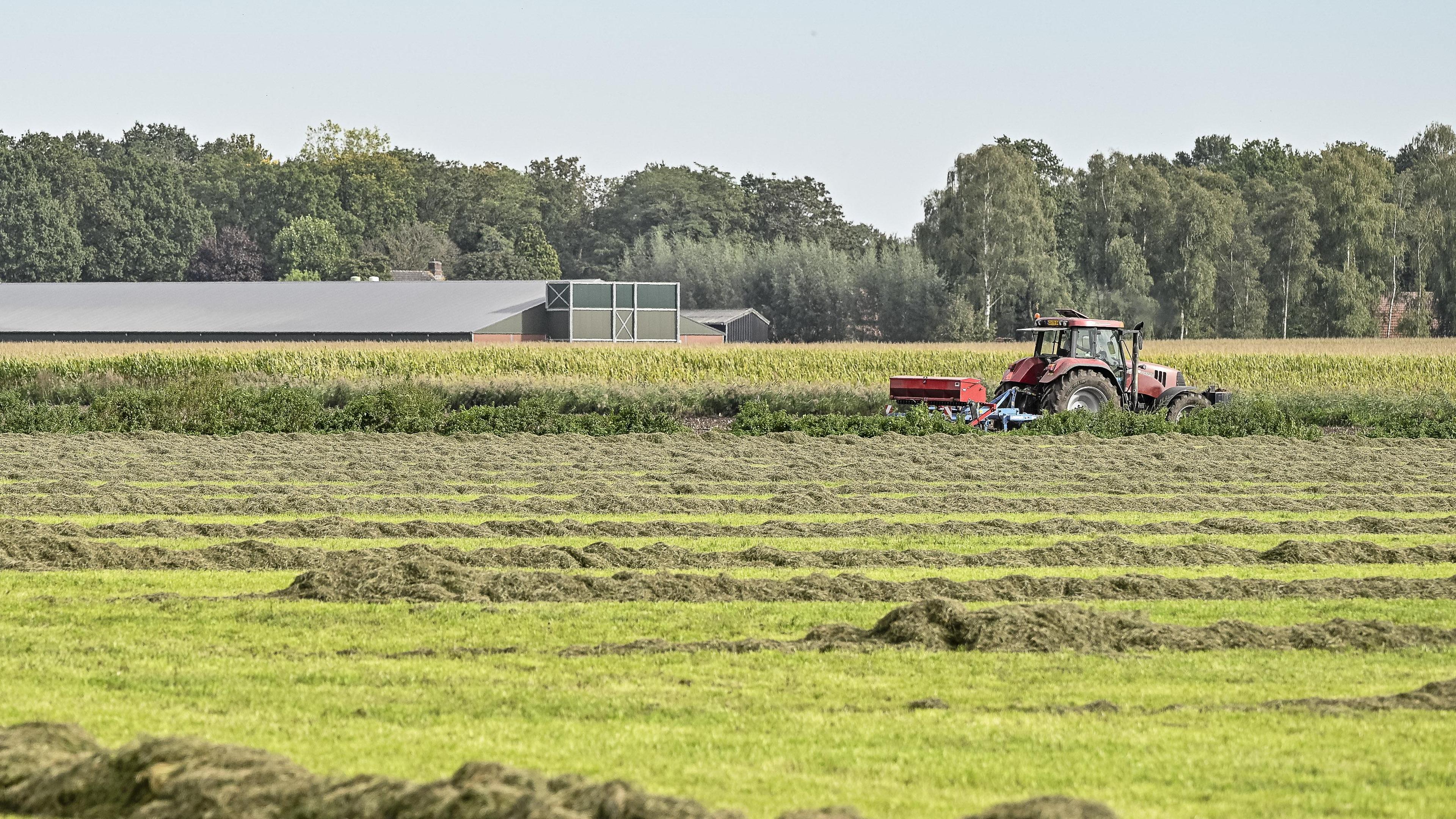 Hoe krijgt Nederweert een schonere lucht tussen 4 miljoen kippen en ruim 6000 geiten?