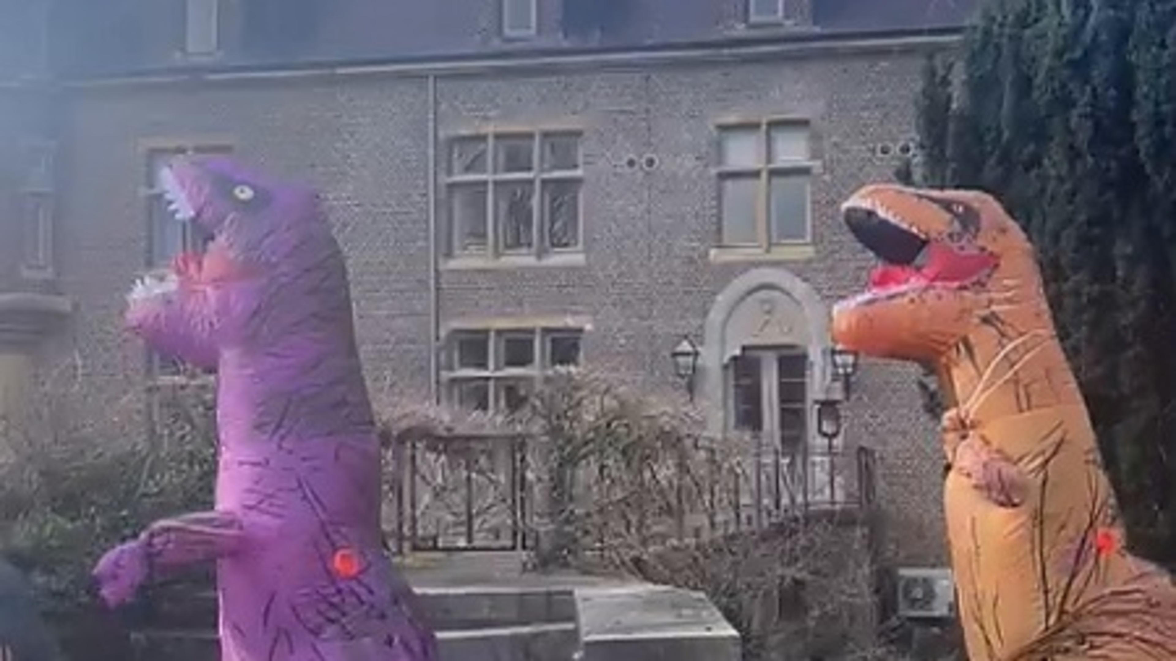 Horde Dino’s rent door Heerlen