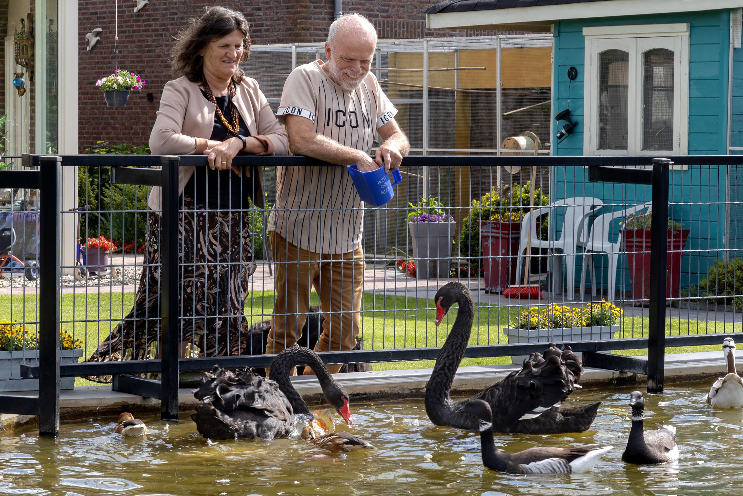Veulen stemde massaal op BBB, nu moet Caroline de agrarische ziel van het dorp redden: ‘Ze spreekt o