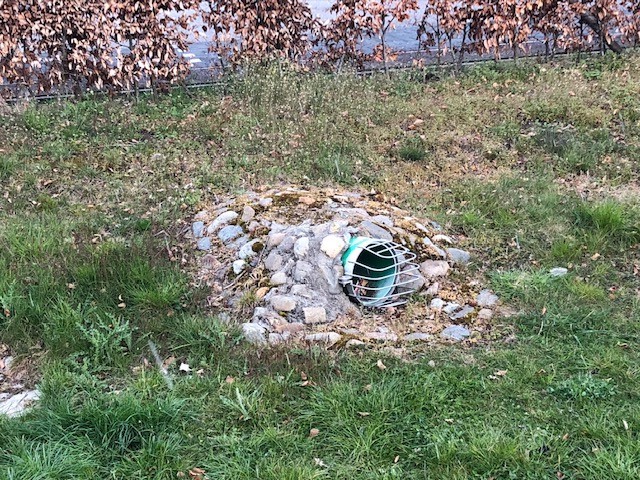 Ratten tot in de keuken bij inwoners Oirsbeek: ‘Ze doen alsof het onze eigen schuld is’