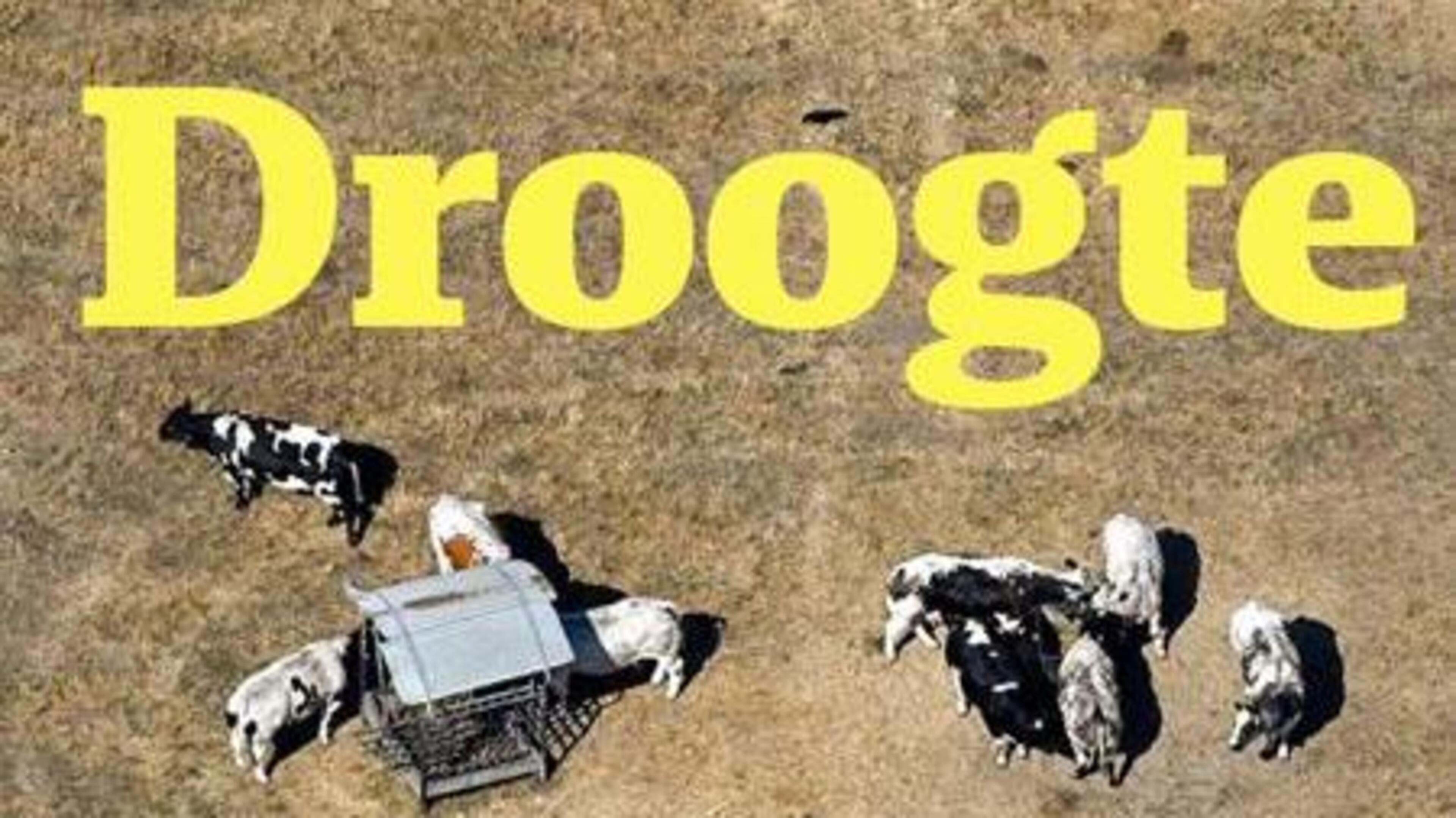 Zo ziet de droogte in Limburg eruit vanuit de lucht