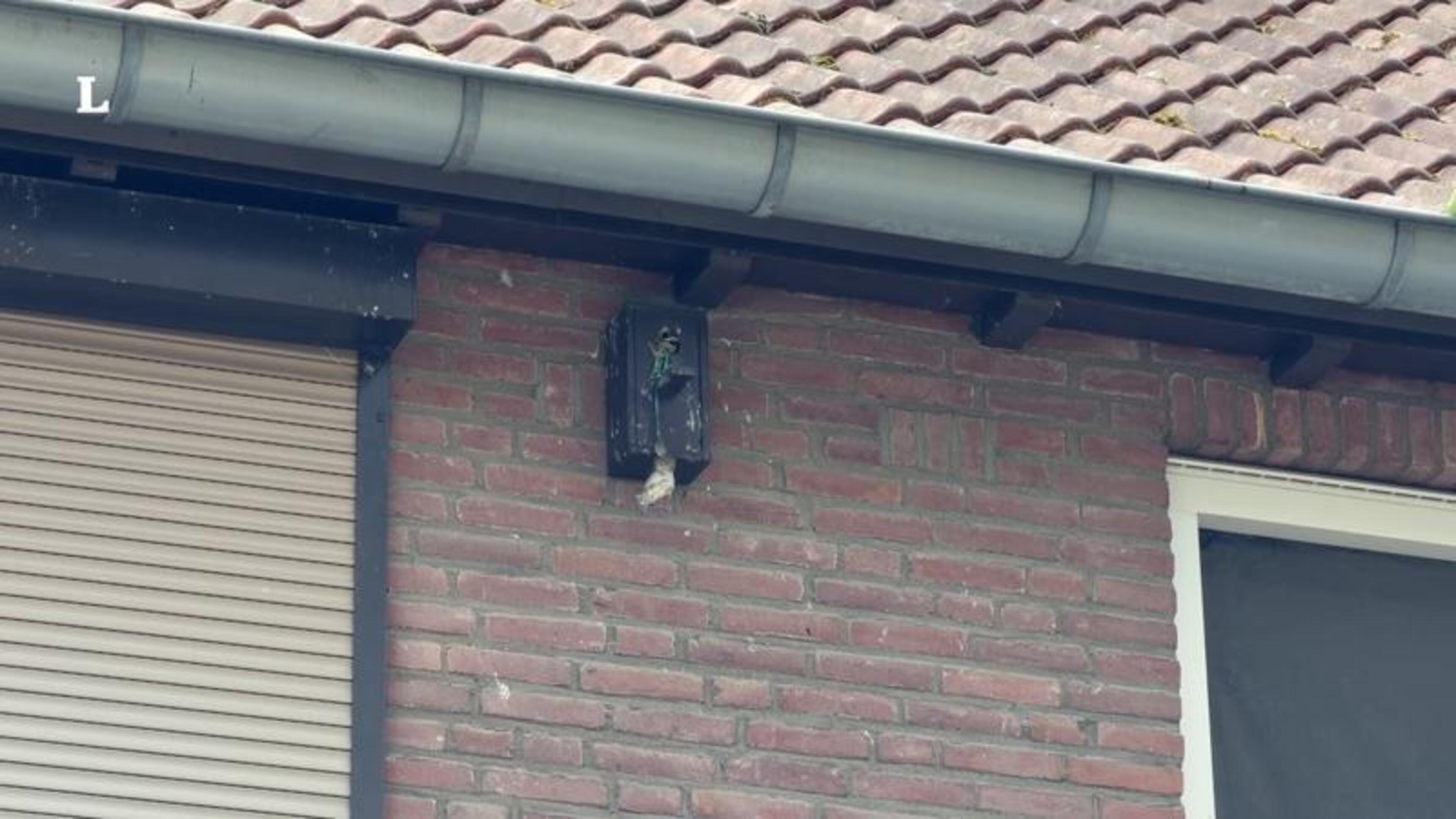 Brandweer redt mus