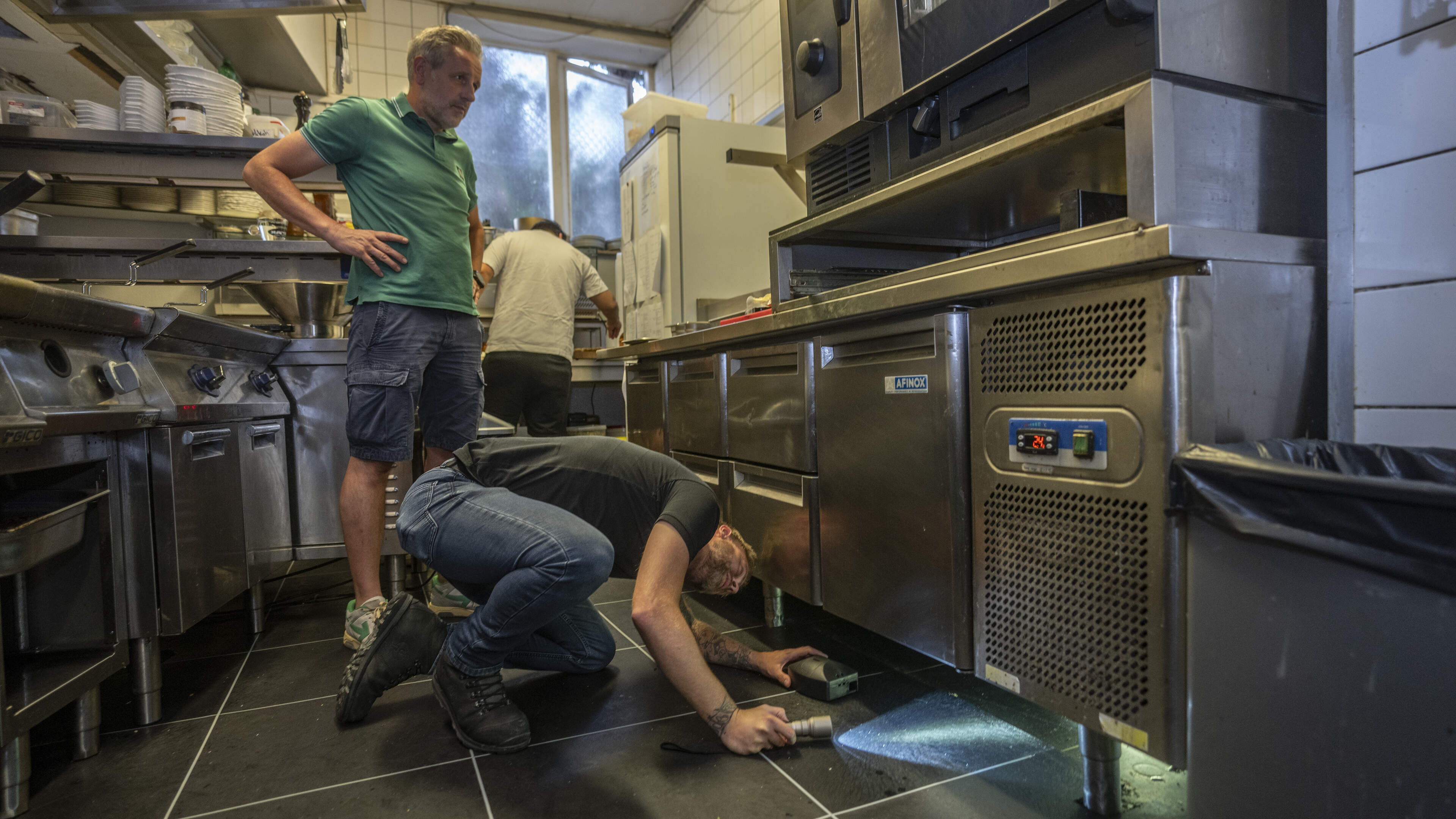 Muizenoverlast in binnenstad van Maastricht neemt sterk toe: ‘Kan me niet voorstellen dat er een res
