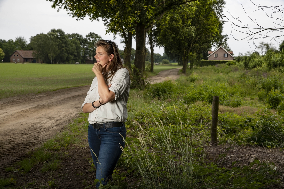 Houtwal als toevluchtsoord voor dieren in ere hersteld