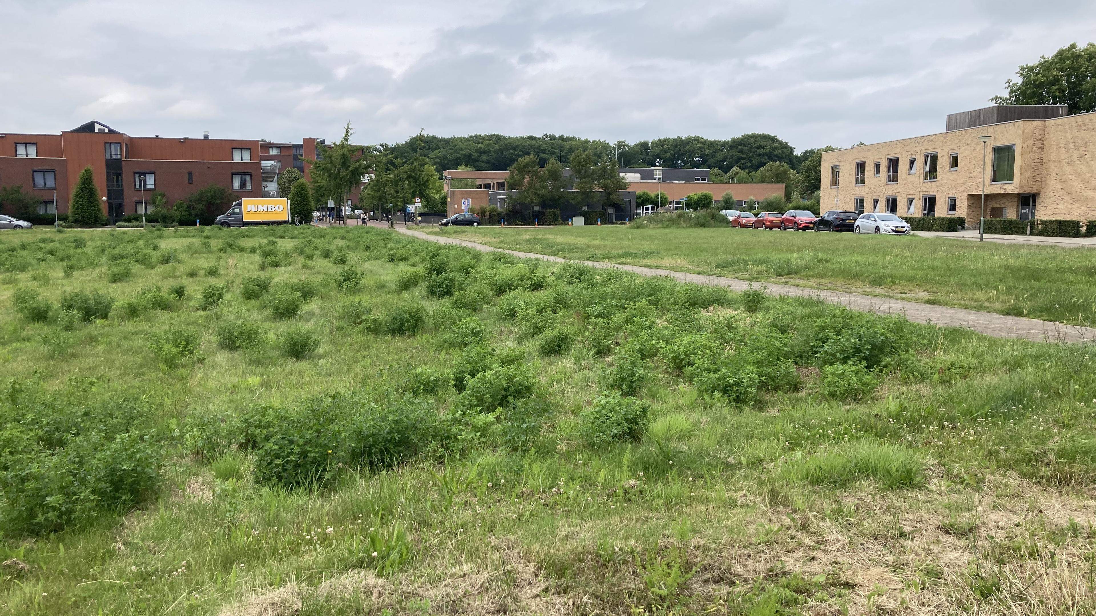 Nieuwbouw Rustoord Reuver stap dichterbij: maximaal 52 woningen, langparkeren straks op de Wilhelmin