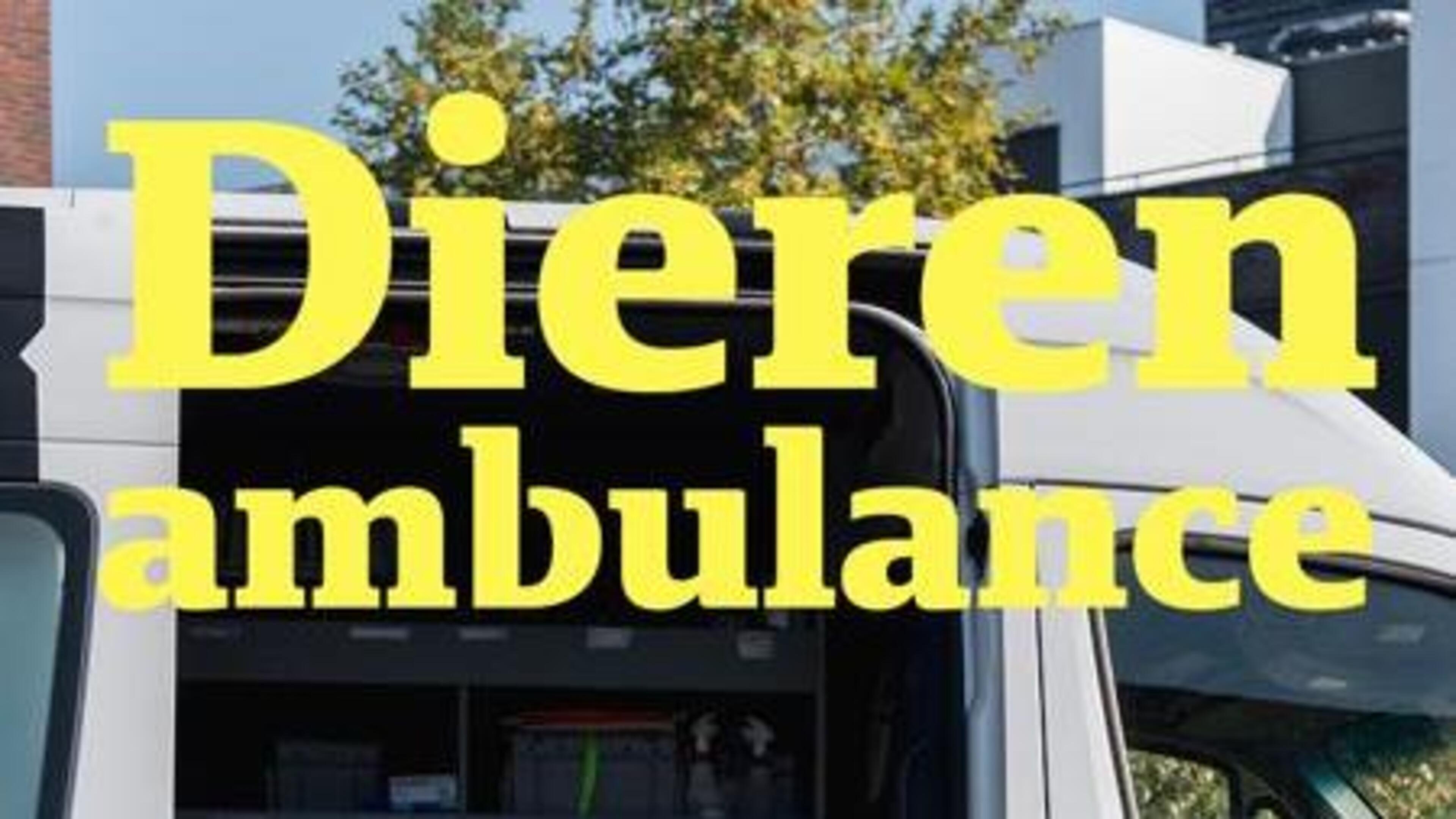 Een dag mee met de dierenambulance: 'Het liefst zou ik alle beestjes helpen'