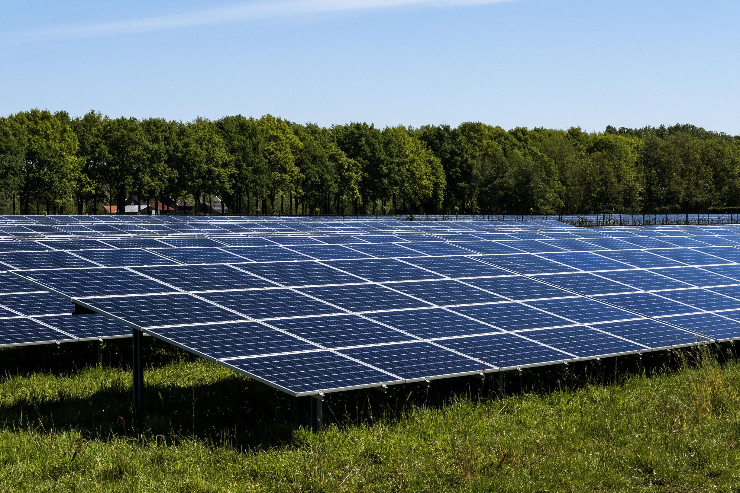 Aanleg van omstreden zonnepark van drieënhalve hectare in Oirlo gaat komende maand van start