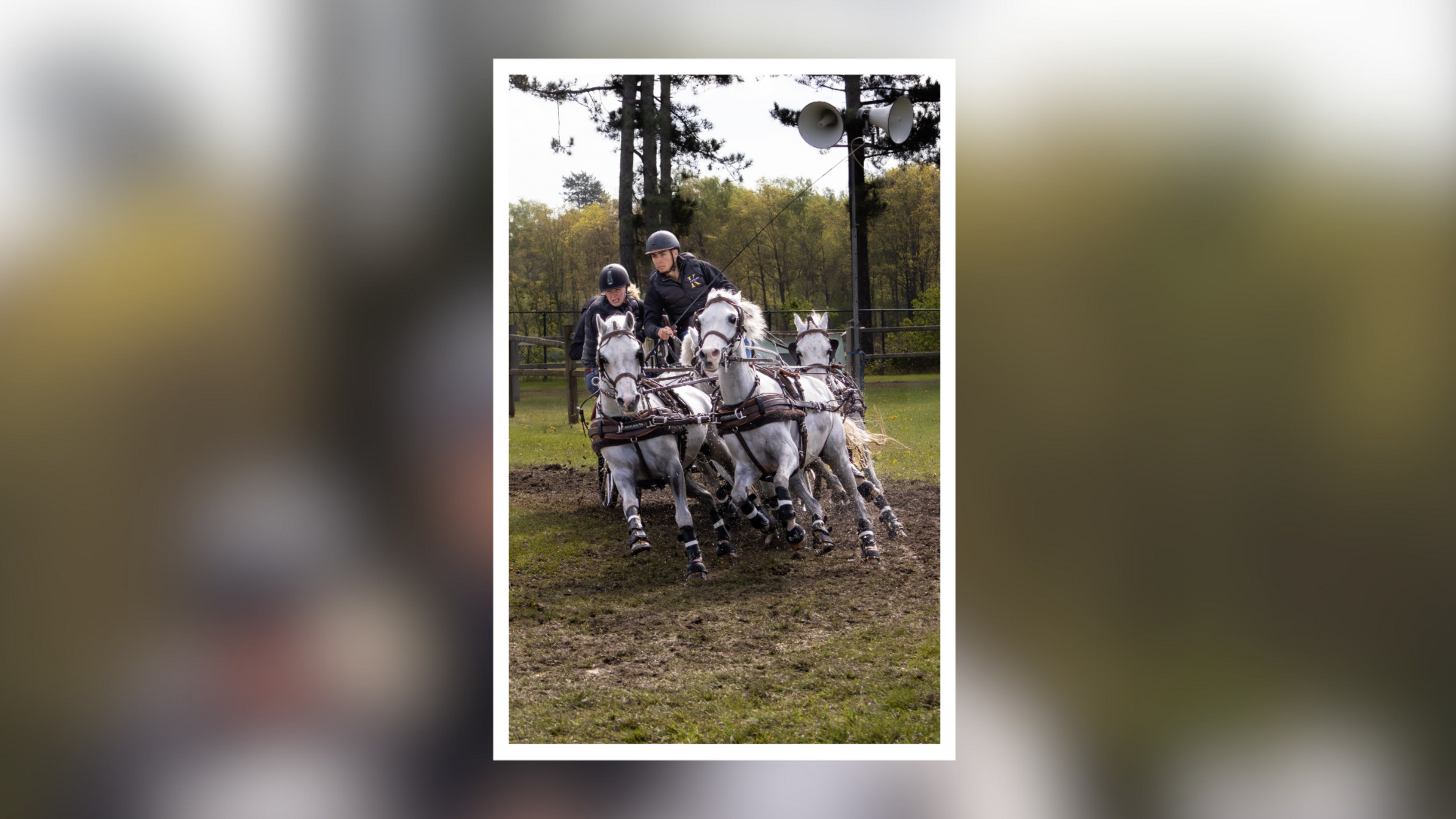 Weekwinnaar VIA-fotopagina’s ‘Week in Beeld’