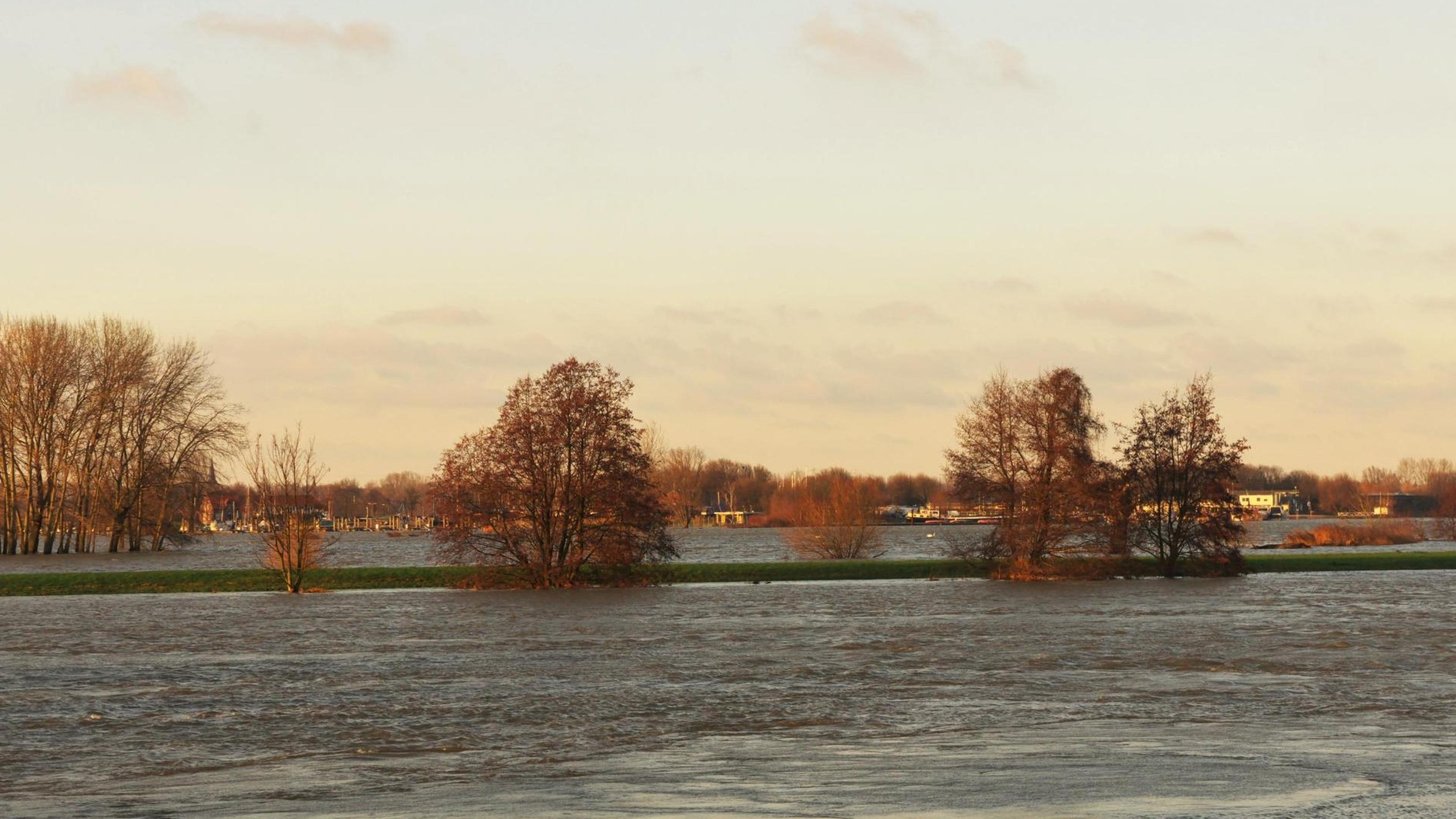 Waterstand in Maas zakt snel, piek vlakt verder af