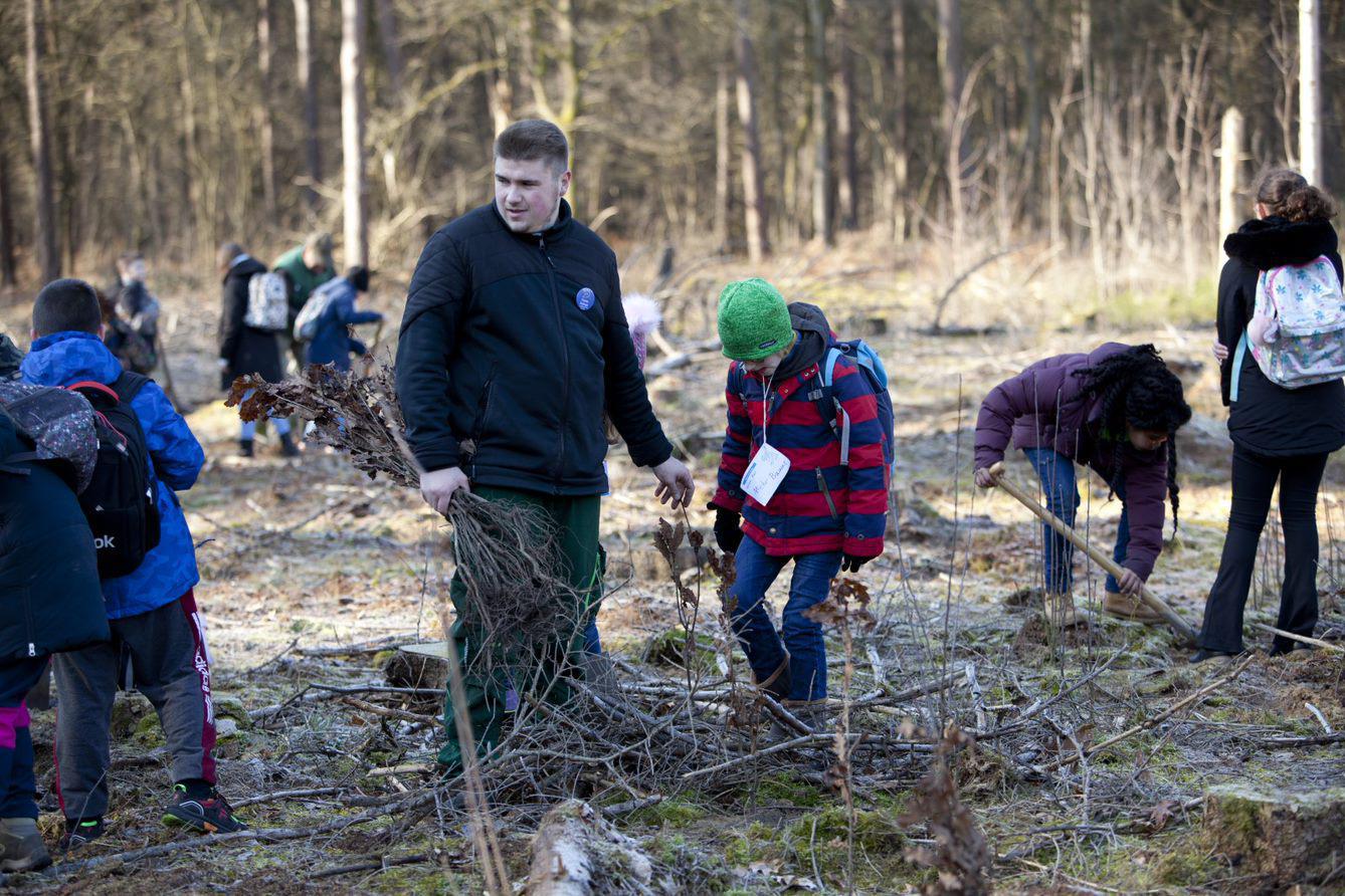 Leerlingen uit Roerdalen planten duizend wintereiken in Nationaal Park De Meinweg