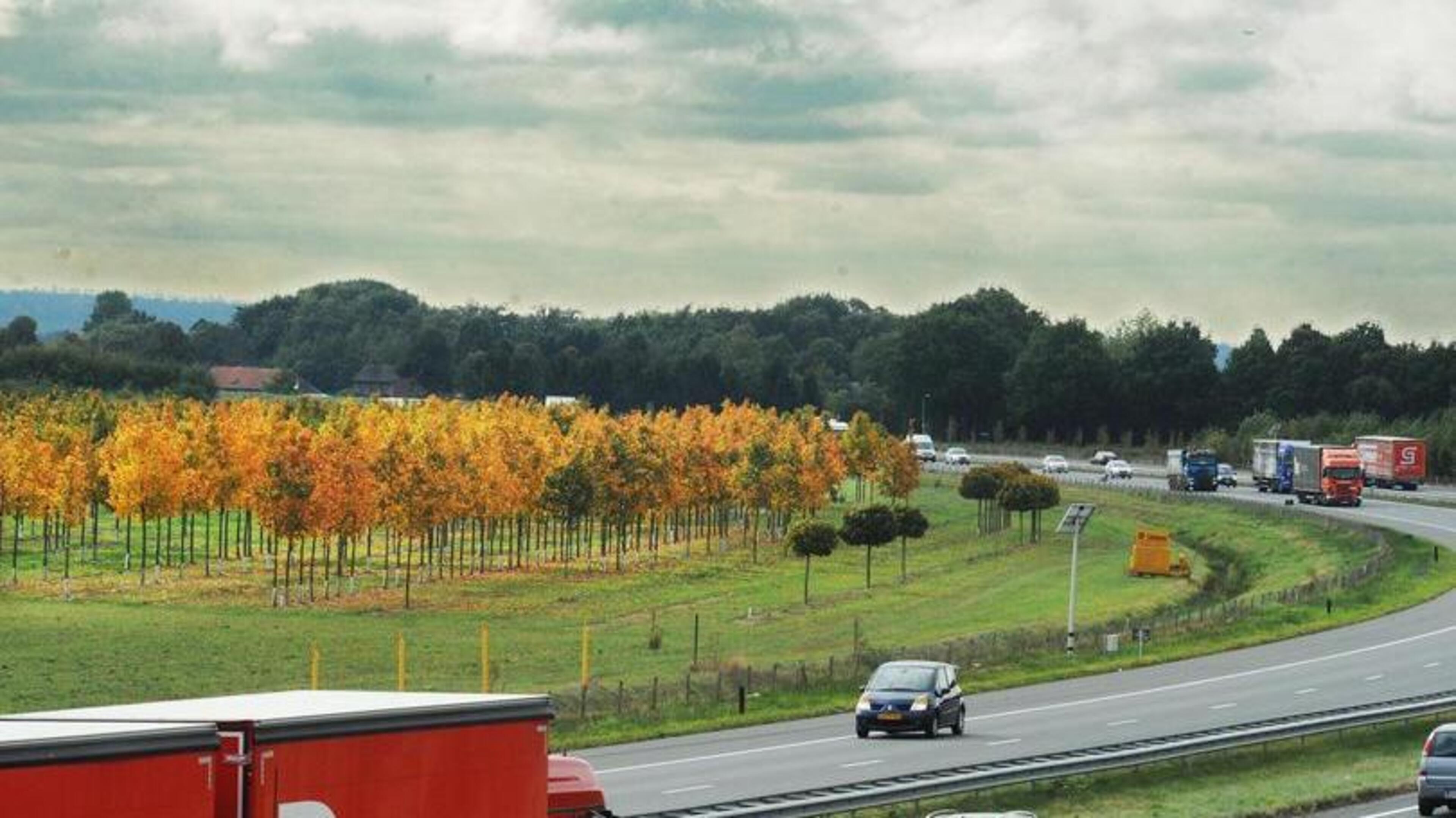 Geen nieuw tweelaags asfalt tegen geluidshinder op A73 bij Reuver