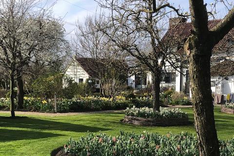 Bloembollenfestival in de tuin van Hoeve Schettereind in Roosteren | De ...