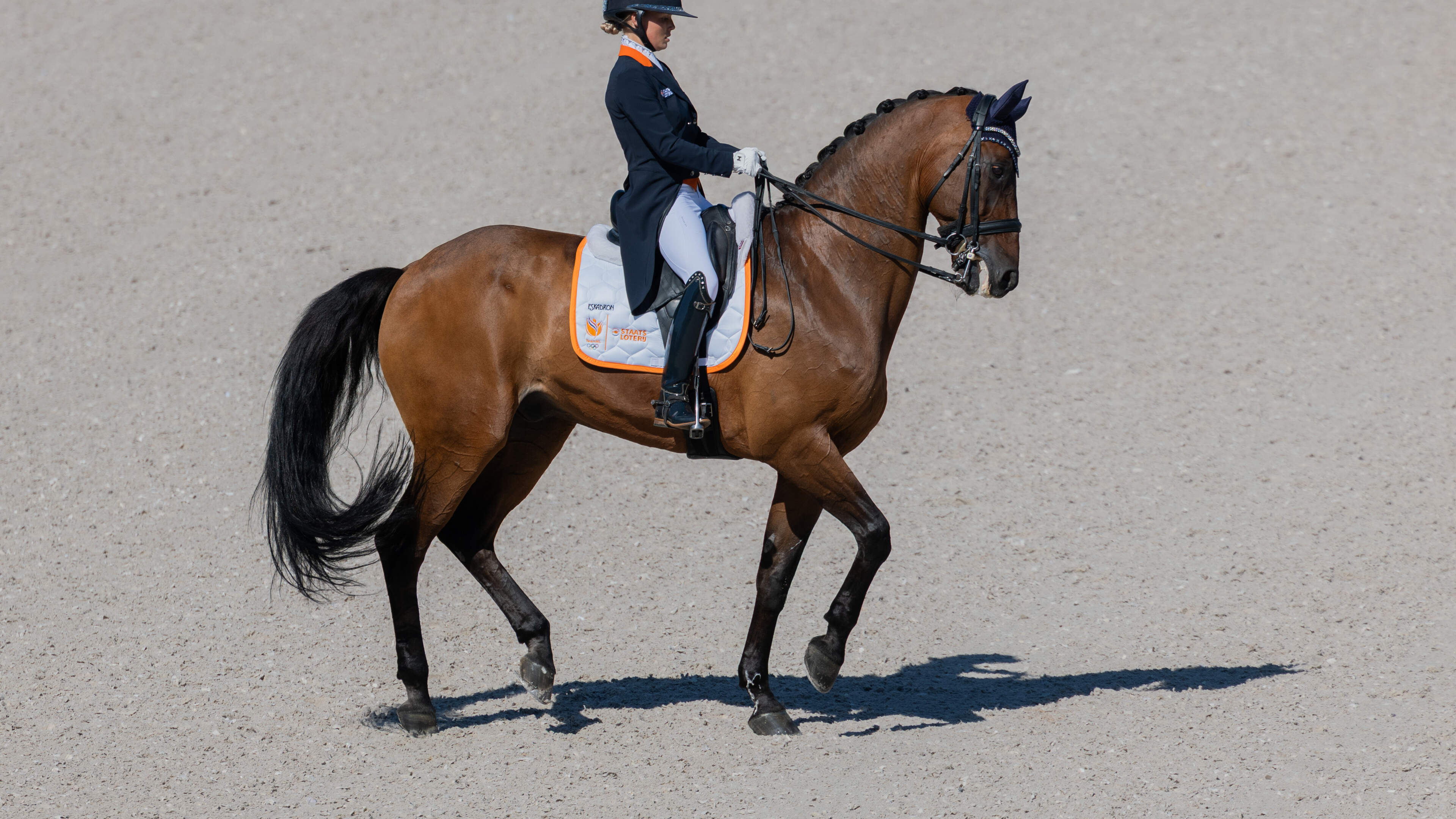 Dressuurploeg met Rowena Weggelaar uit Roermond plaatst zich op WK voor Olympische Spelen van 2028