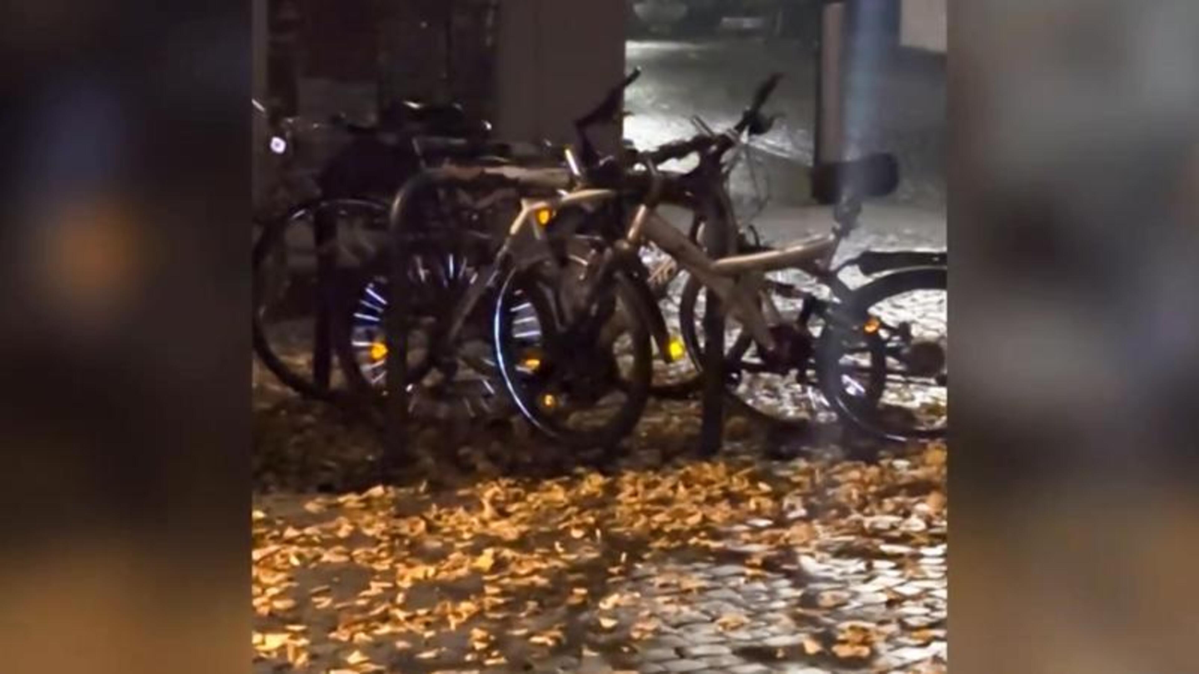 Aken voert strijd tegen rattenpopulatie