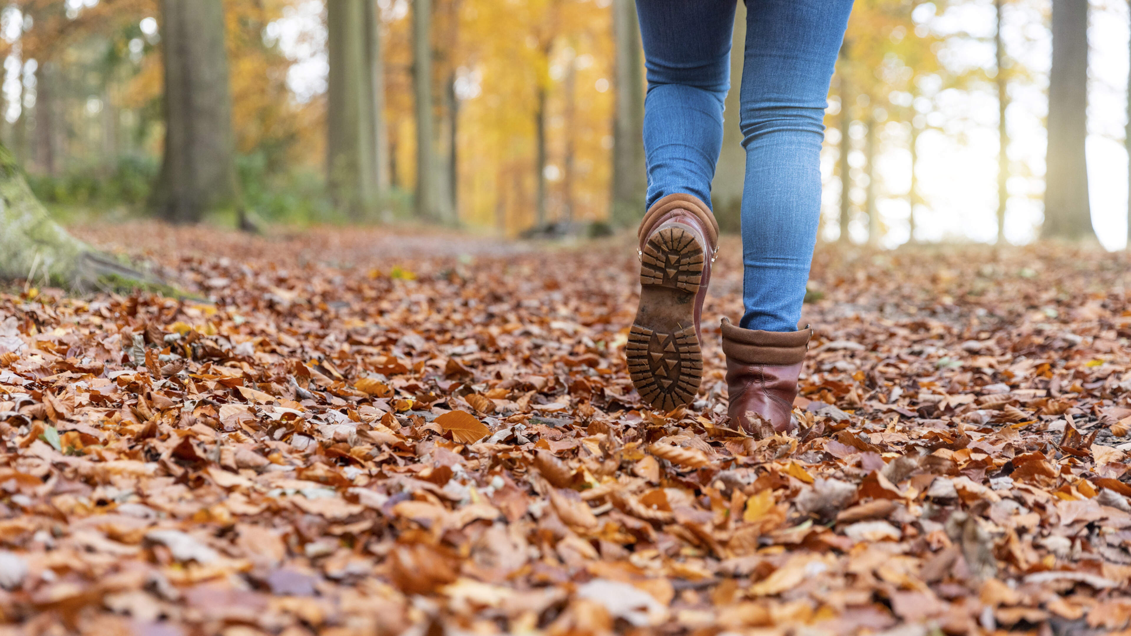 Gratis wandeltocht als afsluiting Beweegweek in Venray wegens succes op herhaling