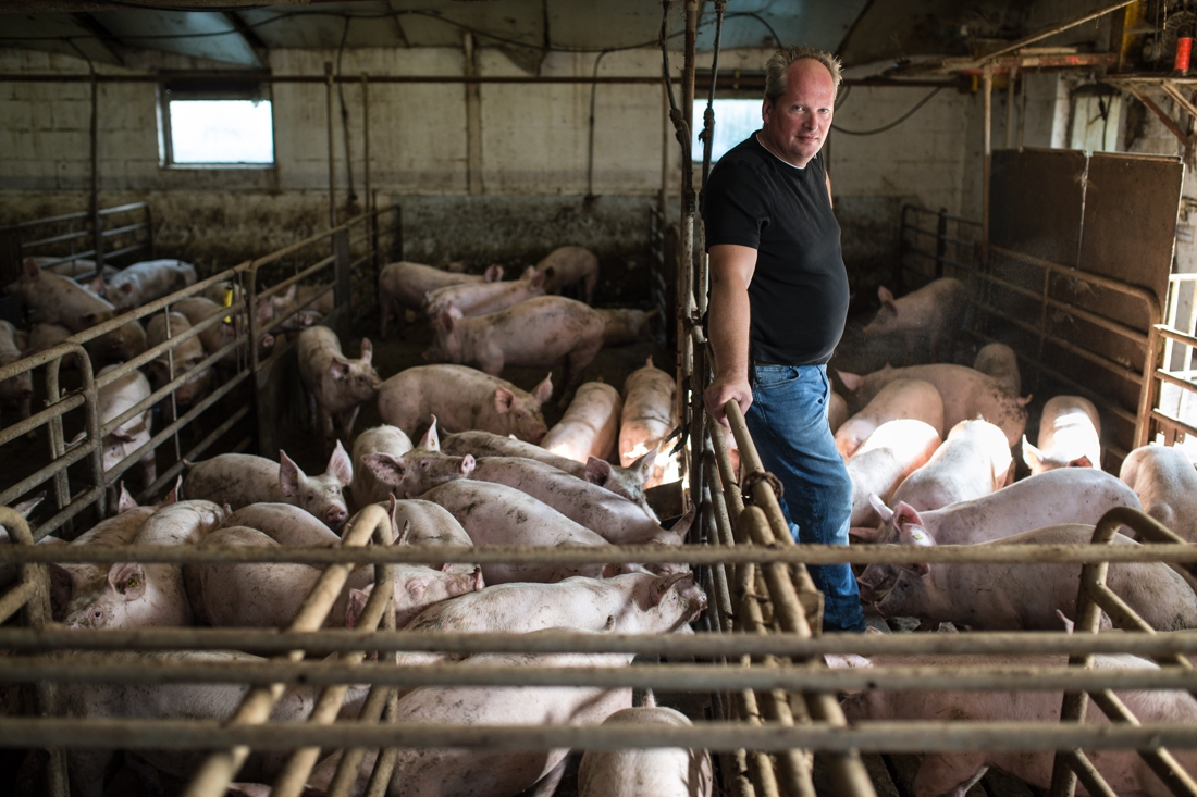 Varkensboer uit Oud-Roosteren weigert te vertrekken