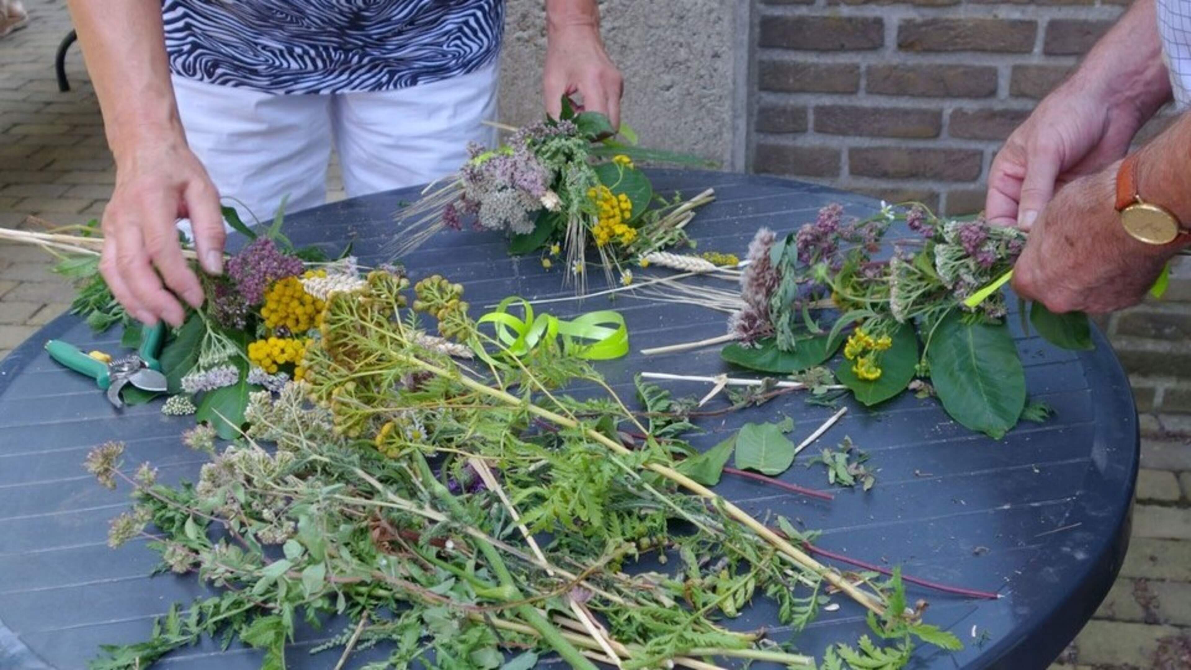 Kruidenwandeling en zegening Kroeëdwusj op Clemensdomein