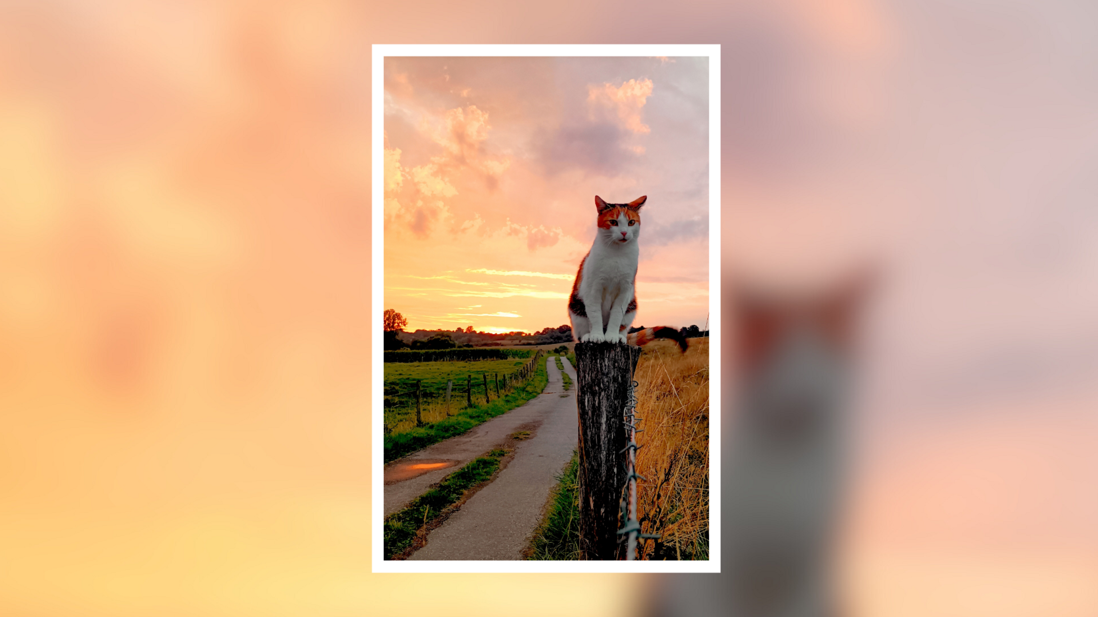 Weekwinnaar VIA-fotopagina’s ‘Week in Beeld’