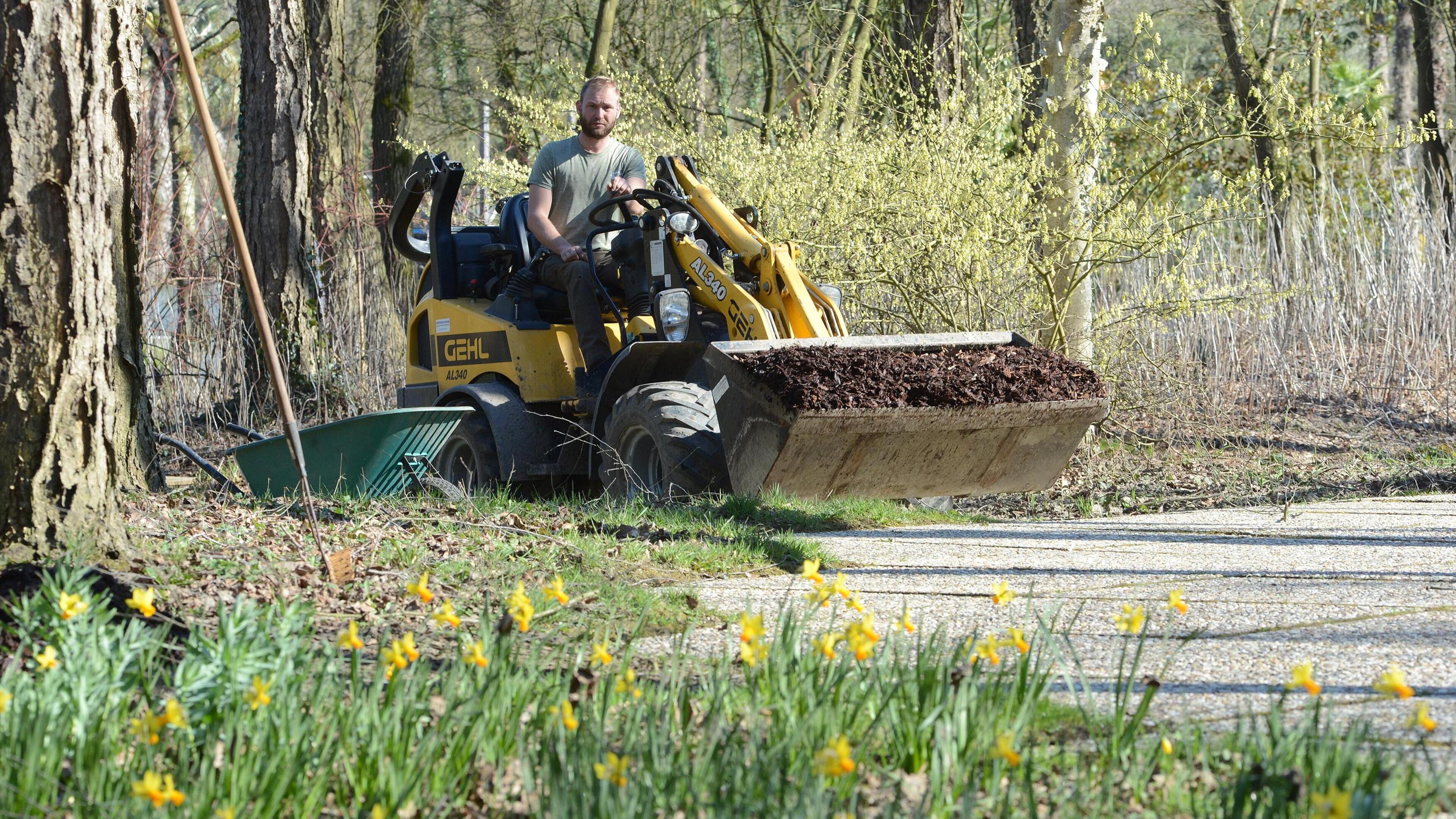 In Kasteeltuinen Arcen moet de rem er af en toe op: ‘Wist je dat er 15.000 soorten varens zijn?’