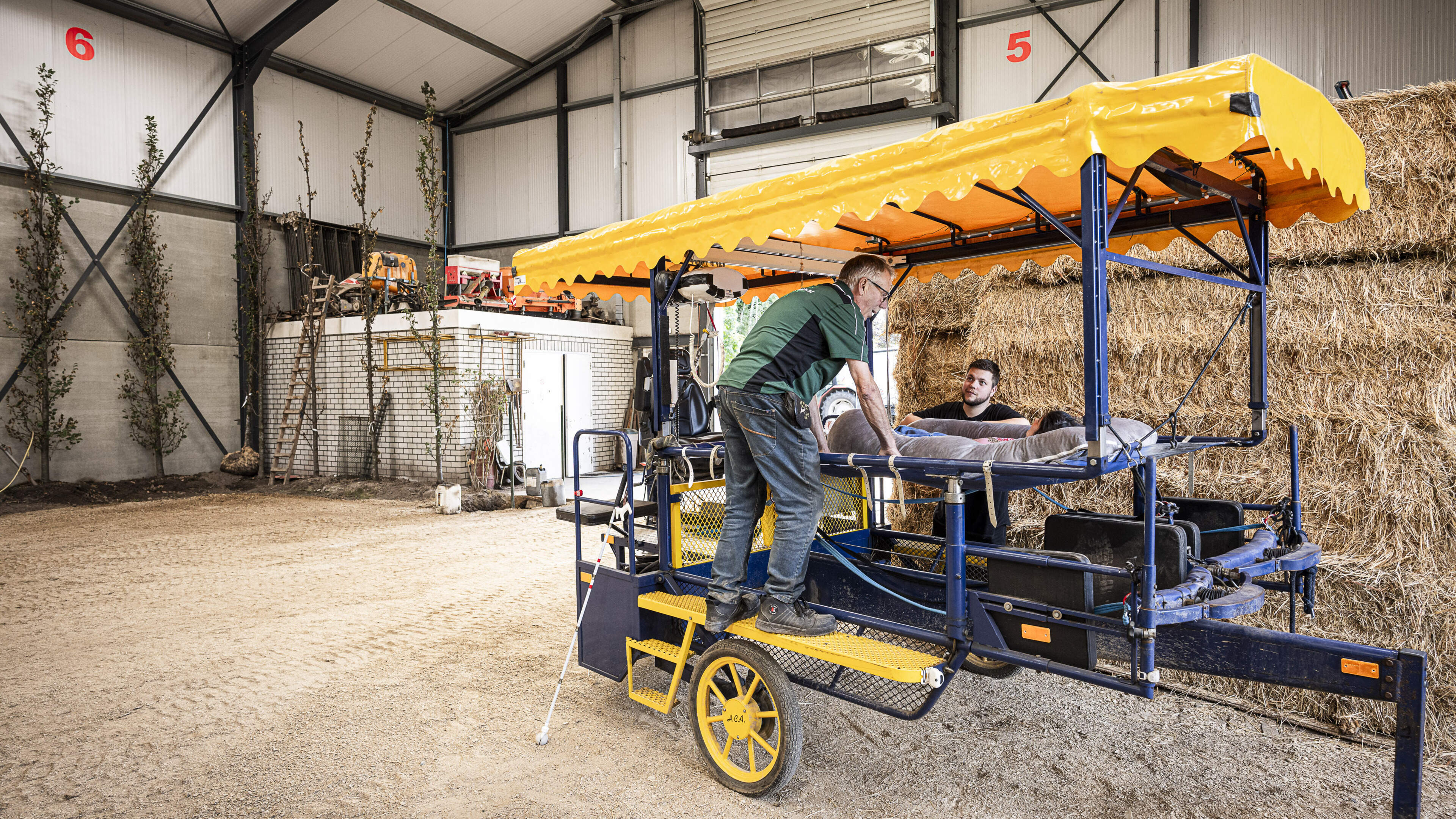 Boomkweker in Nederweert maakt parcours voor koetsritjes met gehandicapten: ‘Als mijn zoon hier is, 