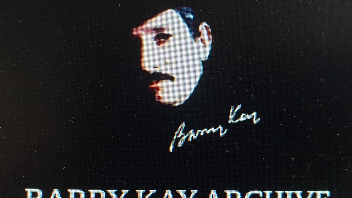 Archief ontwerper Barry Kay naar Kasteel Obbicht | De Limburger