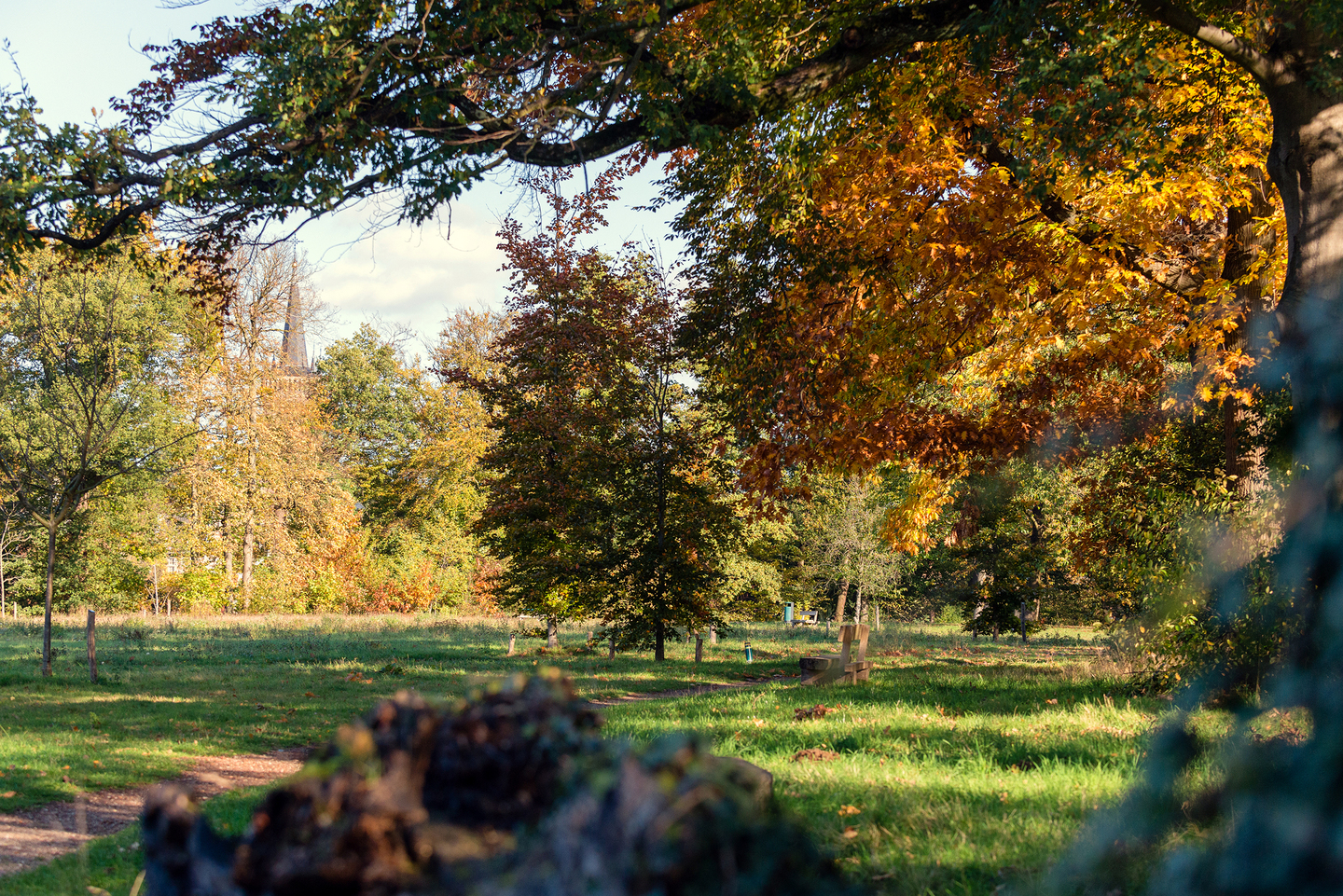 De groene geschiedenis van Kasteelpark Elsloo | De Limburger