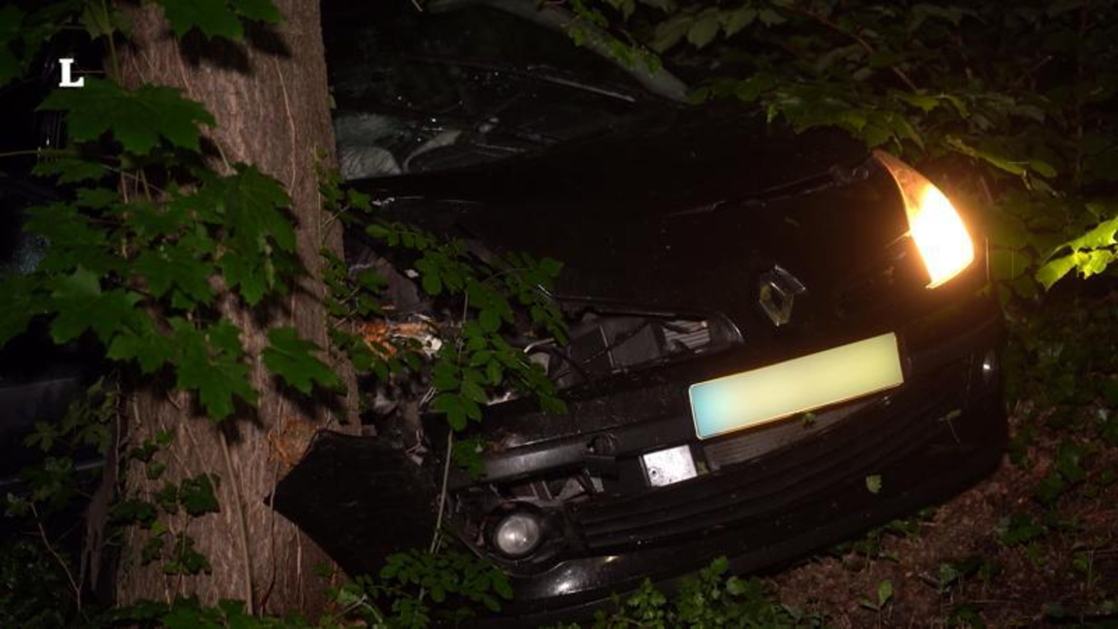Auto botst tegen boom in Valkenburg, bestuurder gewond