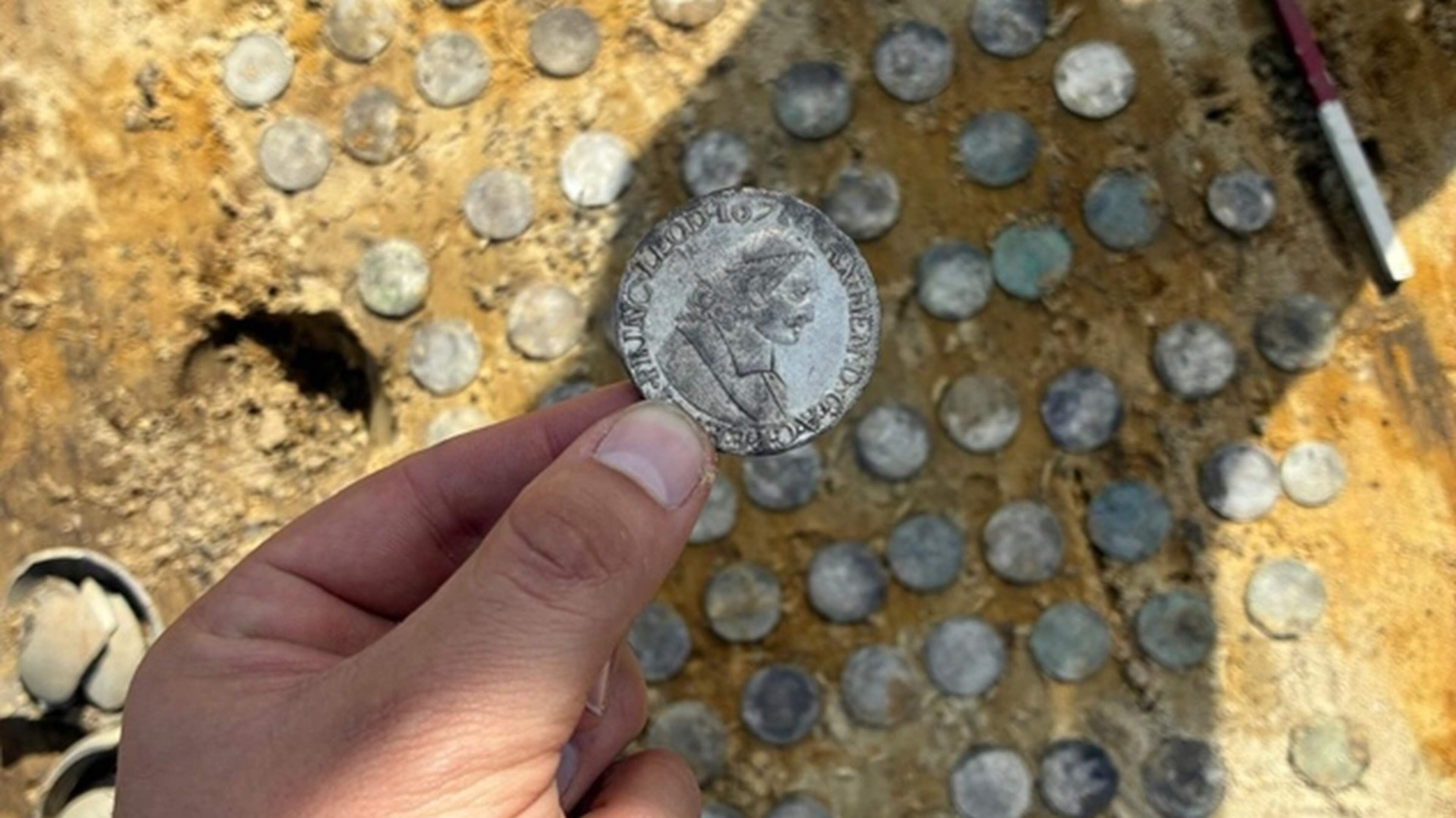 Een echte schat van 95 munten gevonden in Stramproy: ‘Je vraagt je af wie die daar vroeger verstopt 