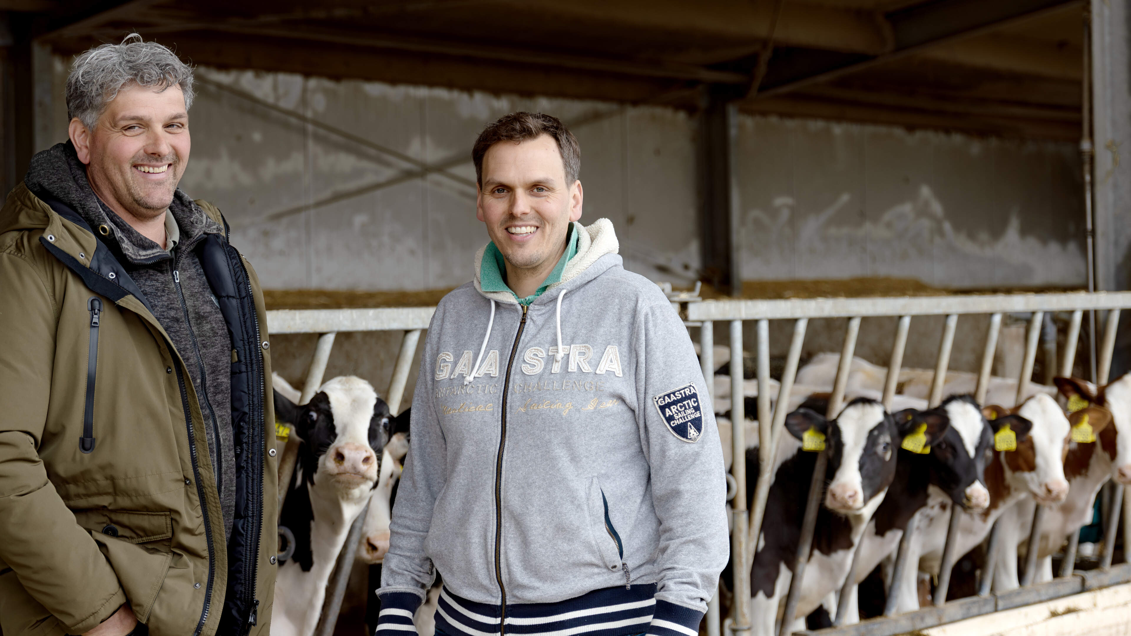 Broers van innovatieve melkveehouderij in Merselo trots na winnen landelijke prijs: ‘Meer tijd voor 