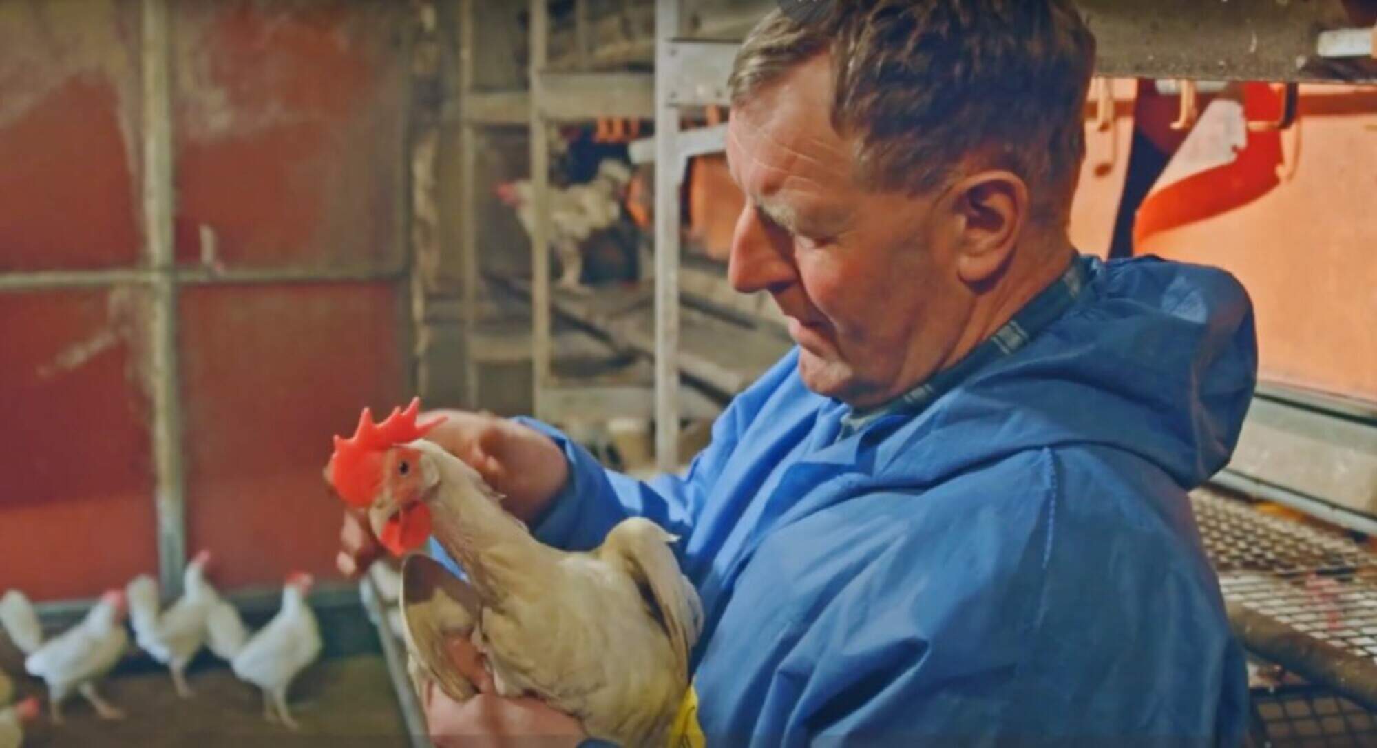 Ontwikkelaar van biologisch middel tegen bloedluizen failliet
