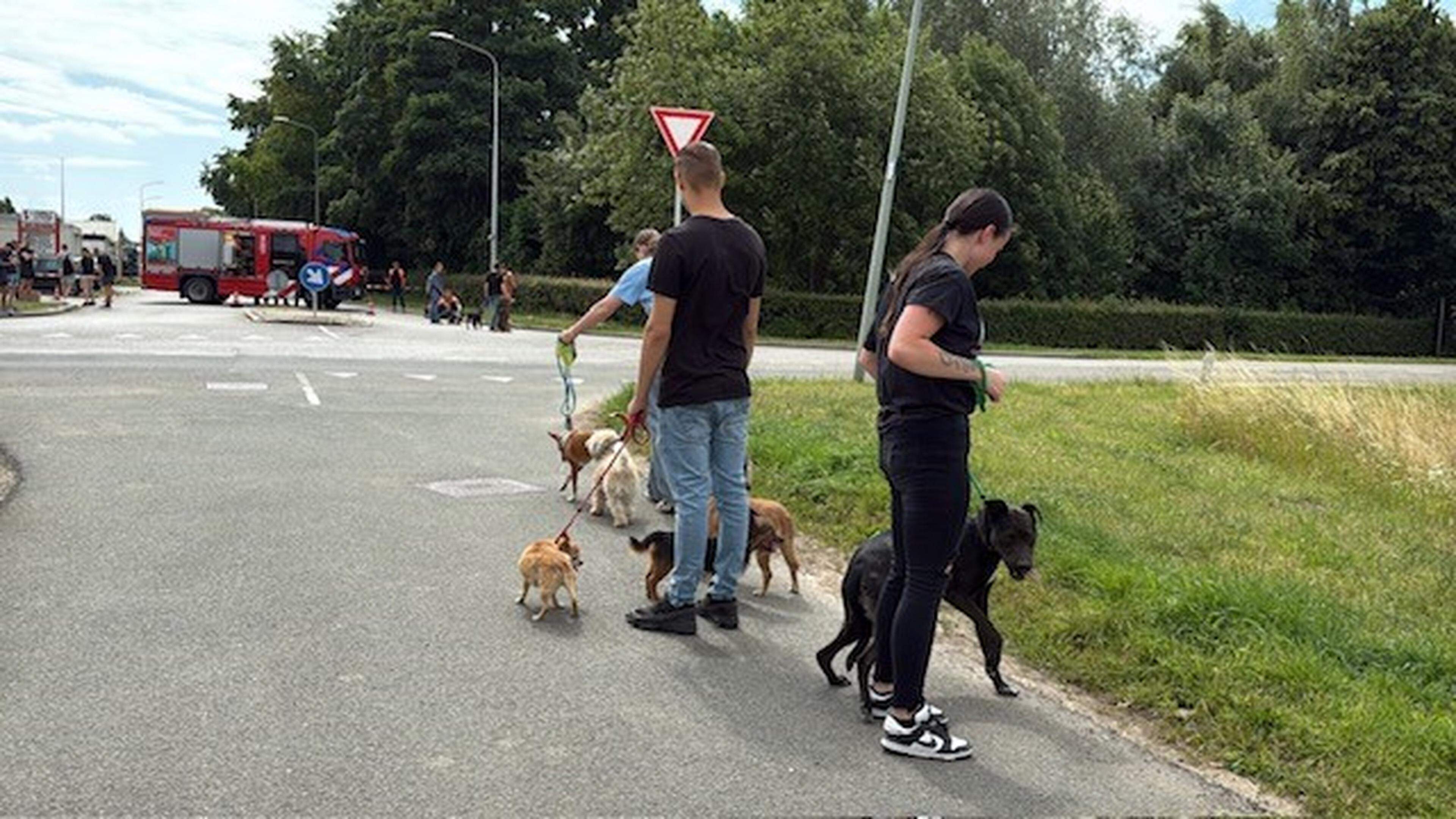 Dierenopvang en enkele andere panden in Maastricht ontruimd na gaslek