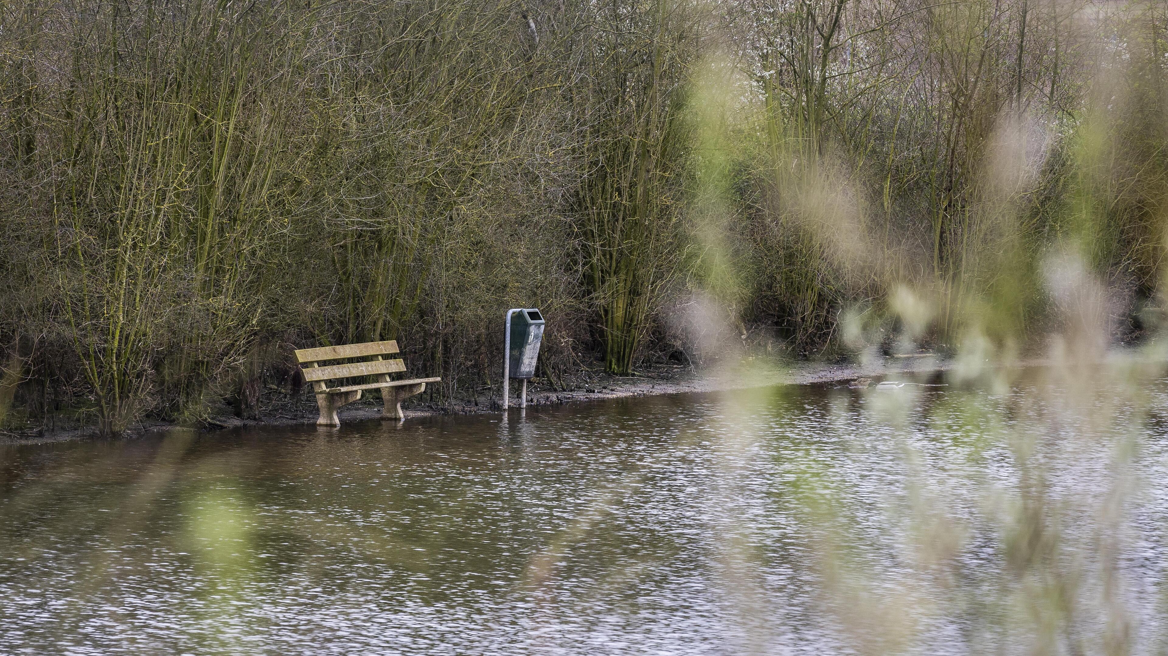 Visvijver hengelsportclub Tienray al anderhalf jaar onbruikbaar: ‘Het water staat ons letterlijk en 