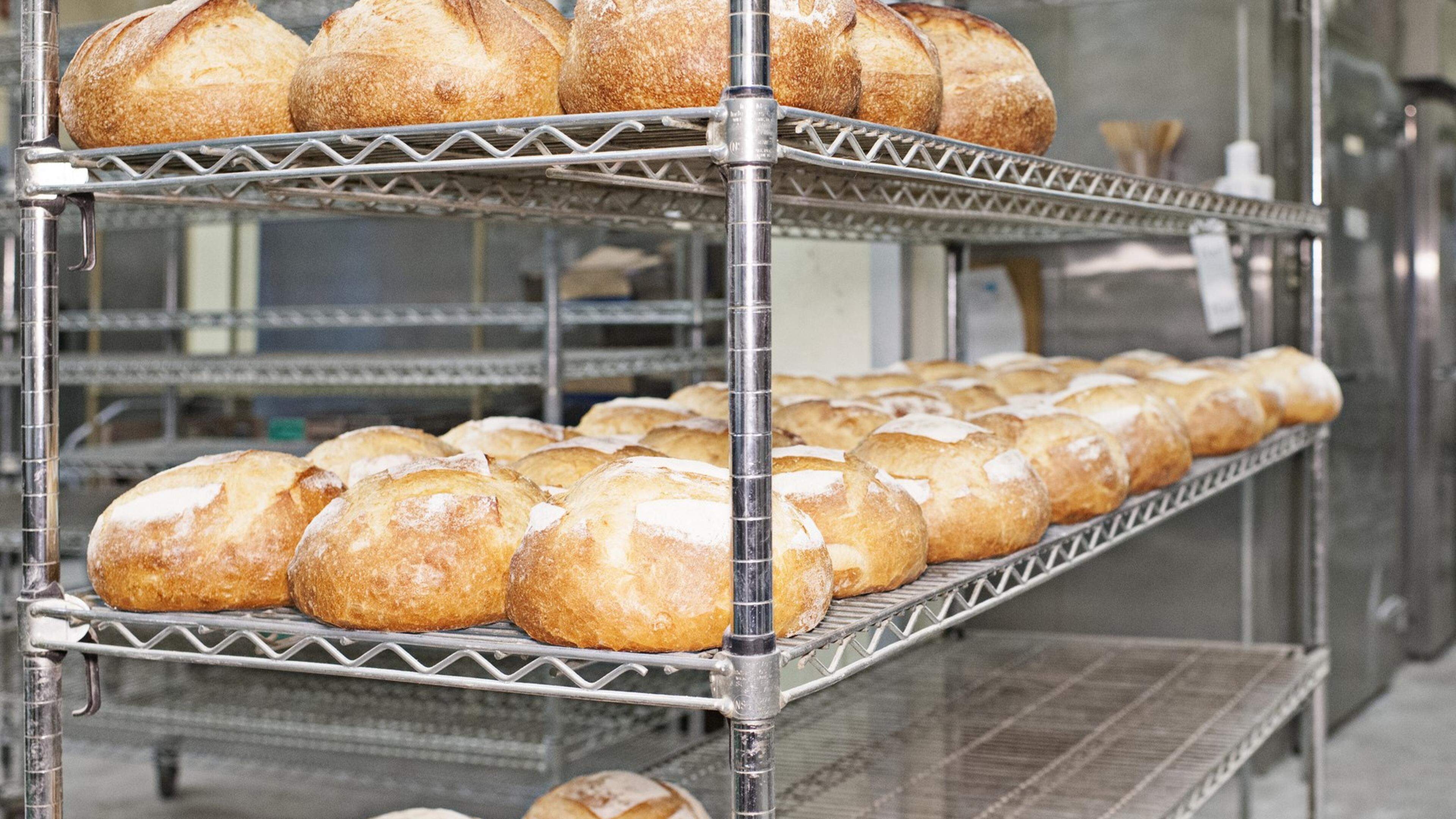 Bakkerij met twee filialen en ggz-praktijk failliet: ruim vijftig mensen verliezen baan