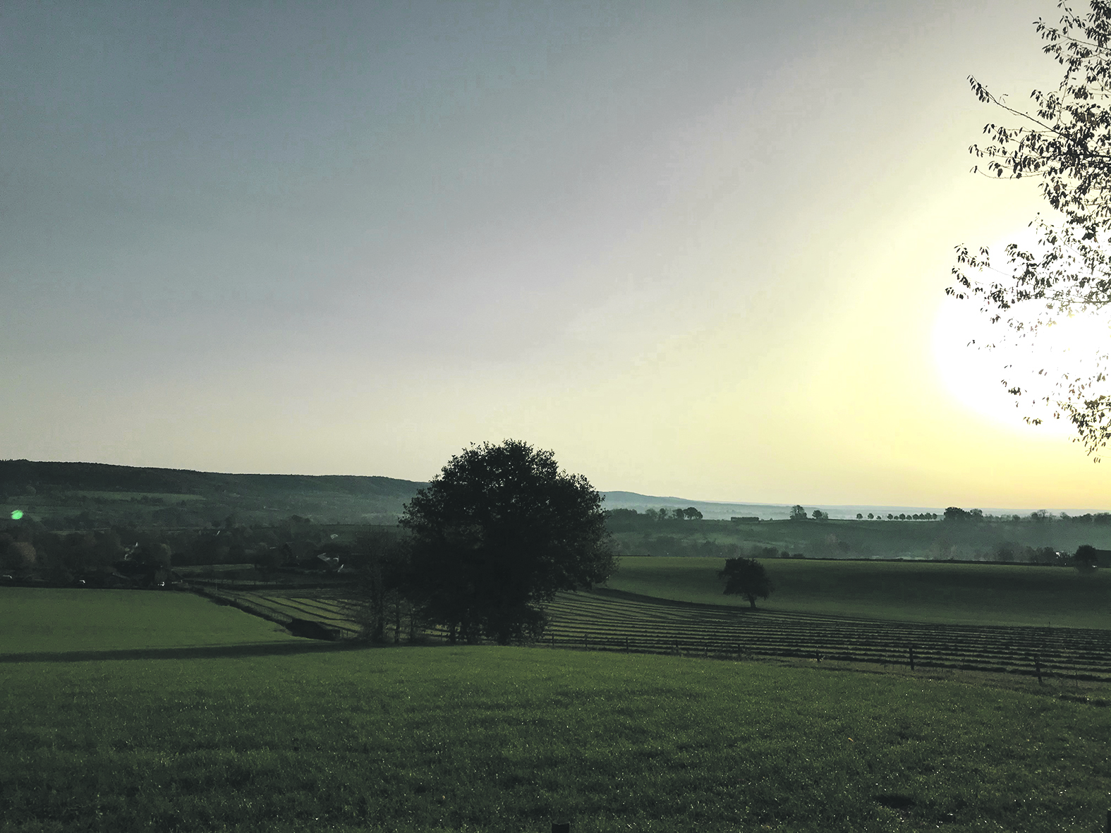 Wandelen over de Dutch Mountain Trail: het Limburgse berggevoel van Epen