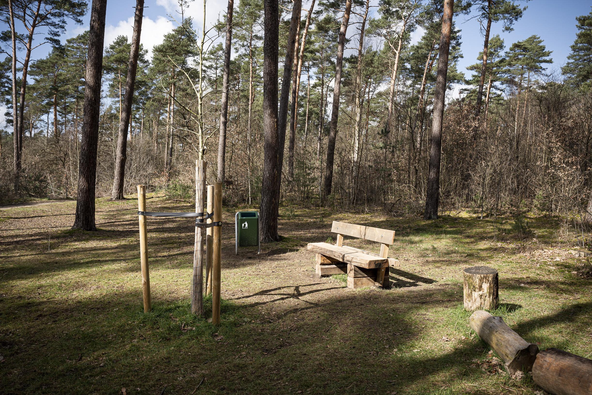 Moeder van Tim die op zijn 27ste overleed is verbijsterd: vernielingen aangericht bij de boom van ha