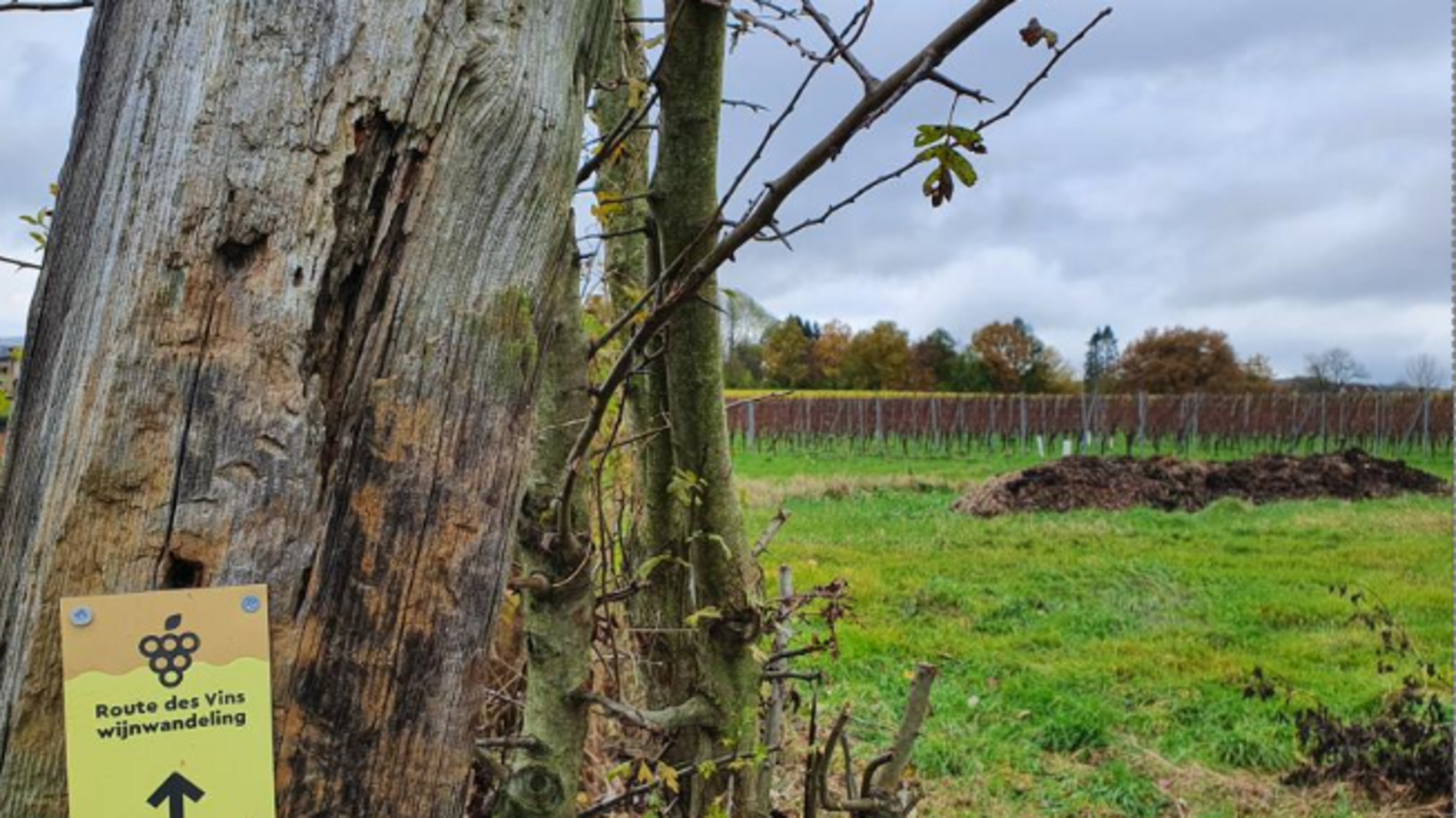 Bourgondische Route des Vins-wandeling van Vaals naar Vijlen