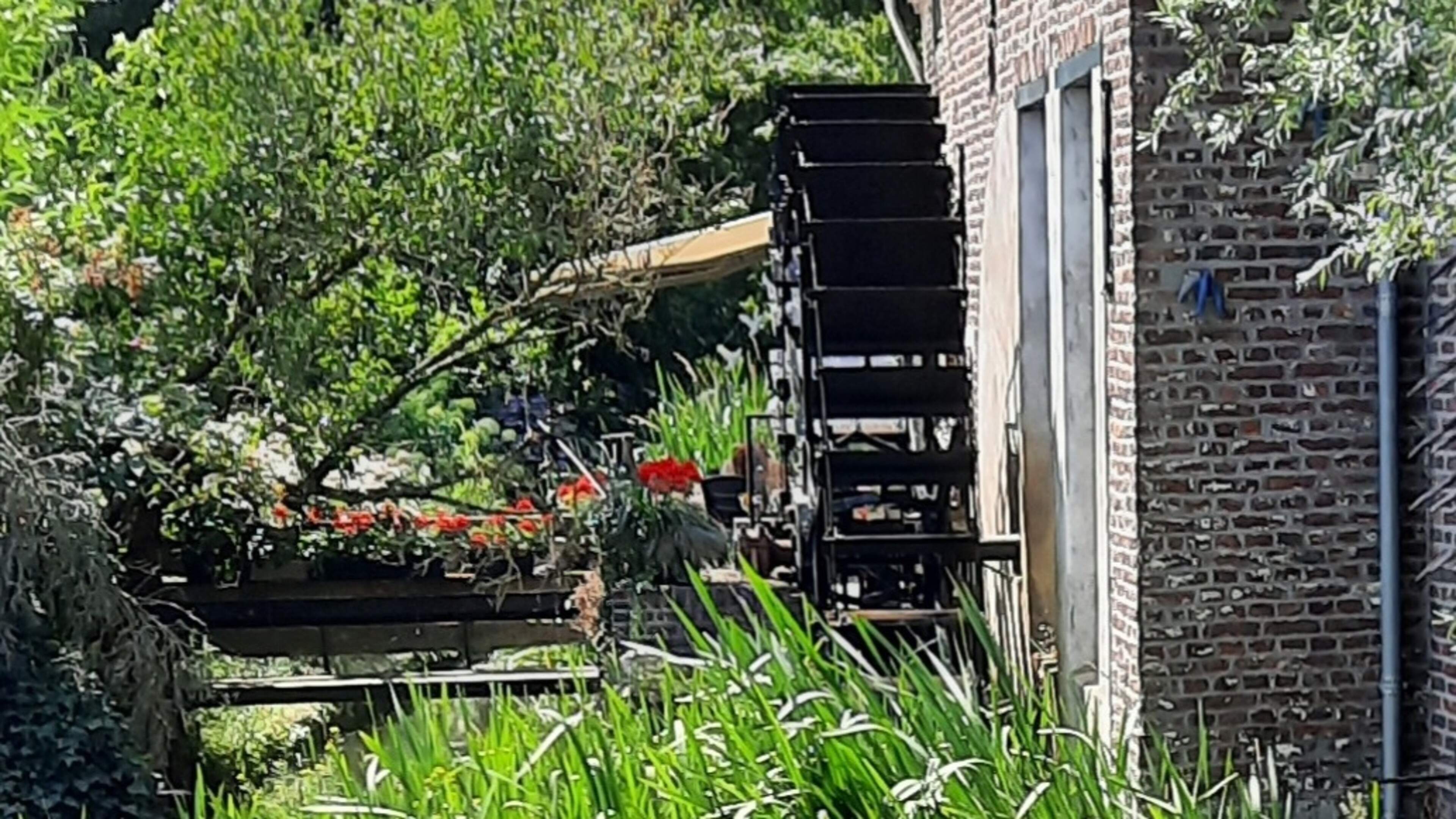 Ontdek de natuur van Neeritter met een wandeling langs de Itterbeek
