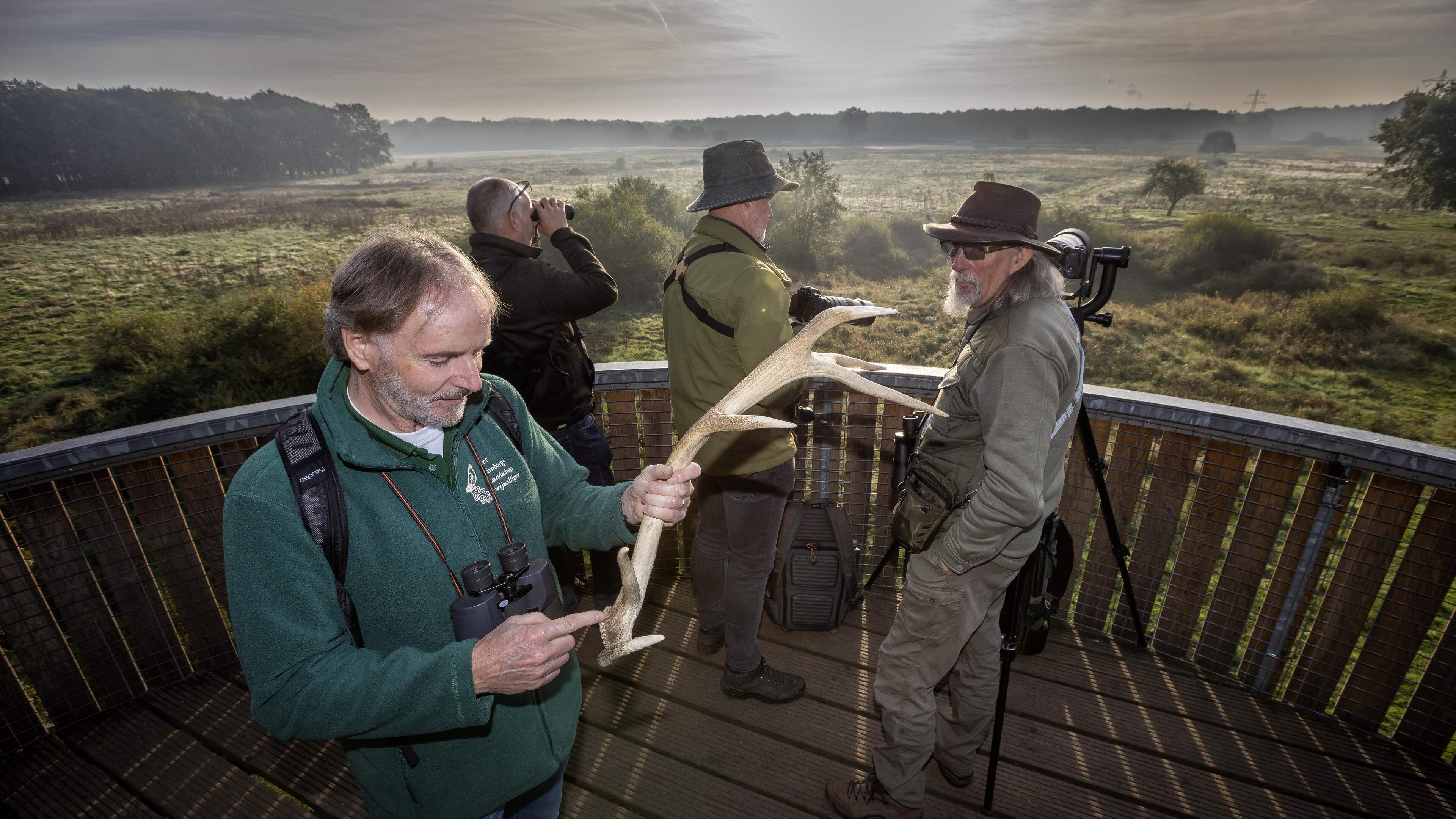 Vroege opstaan wordt beloond tijdens bronstexcursies in het Weerterbos onder leiding van gids Tim: ‘