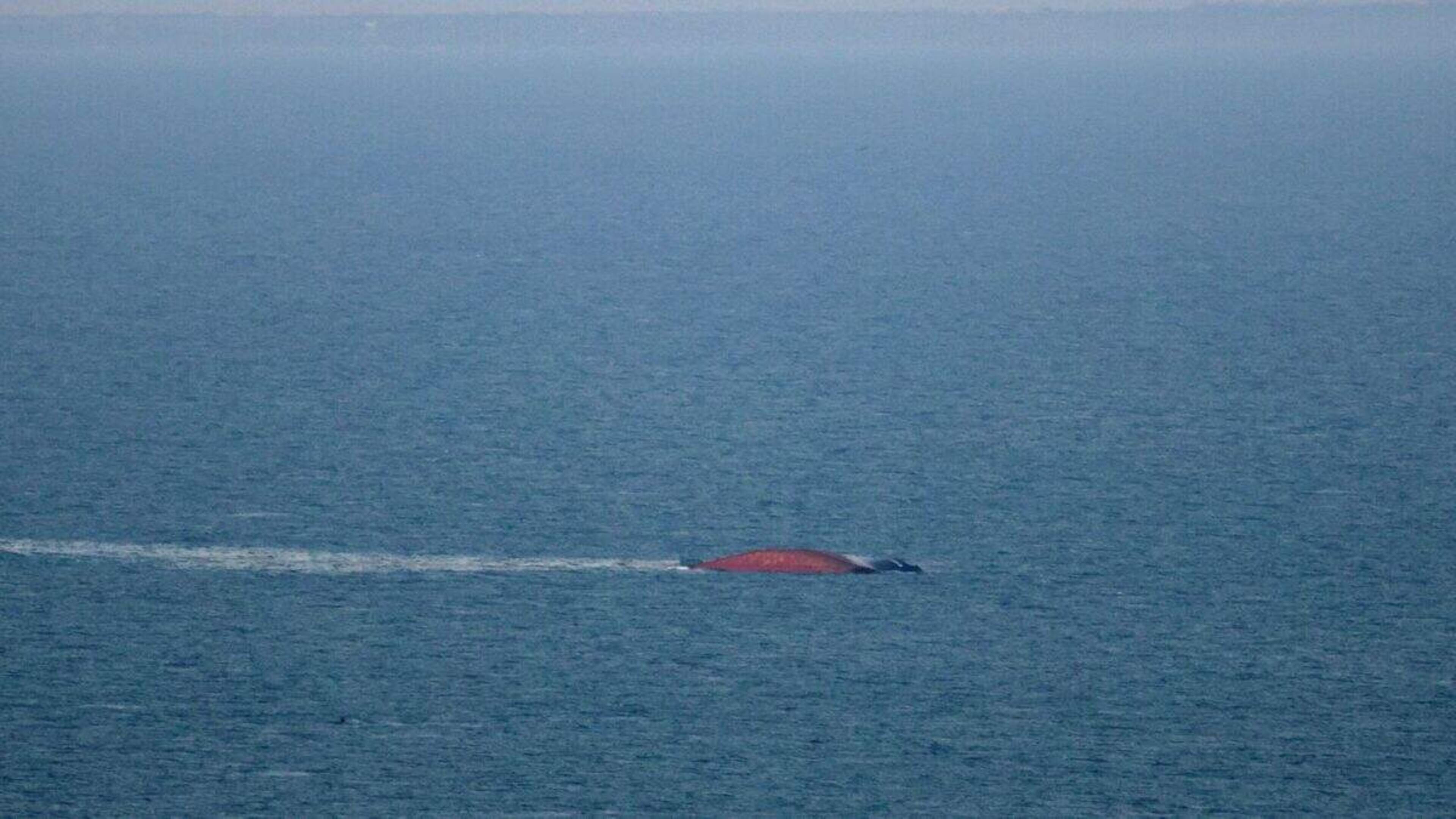 Dode en meerdere gewonden bij Russische aanval op schip in Zwarte Zee: ‘Gevaar voor wereldwijde voedselzekerheid’