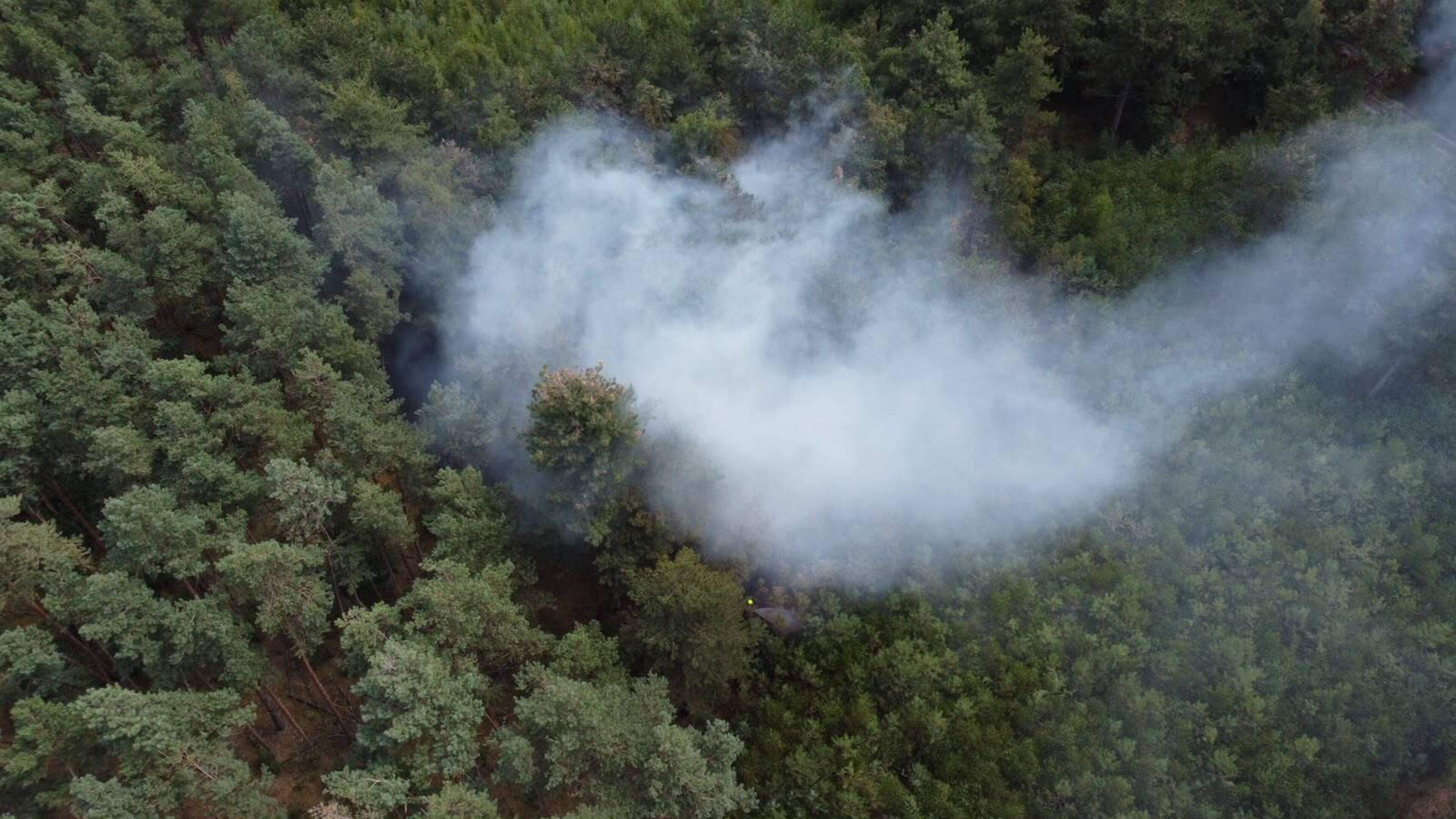Natuurbrand in Vredepeel, meerdere brandweerwagens ter plaatse