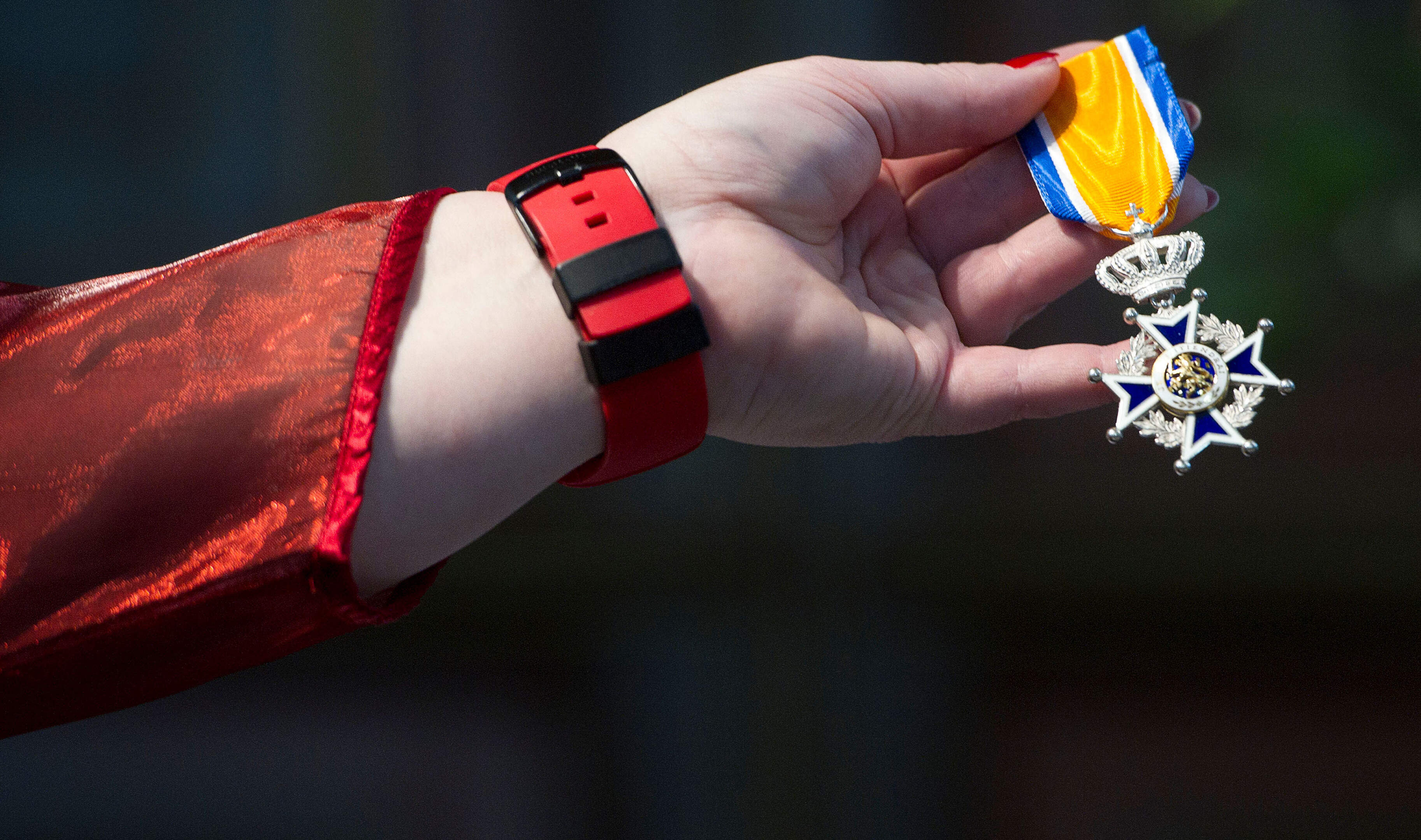 Tien Roermondenaren koninklijk onderscheiden; Ans Dietvorst geridderd