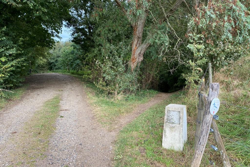 Leerlingen basisscholen helpen bij uitbreiding ‘klimaatbestendig’ Vrouwenbos in Spaubeek