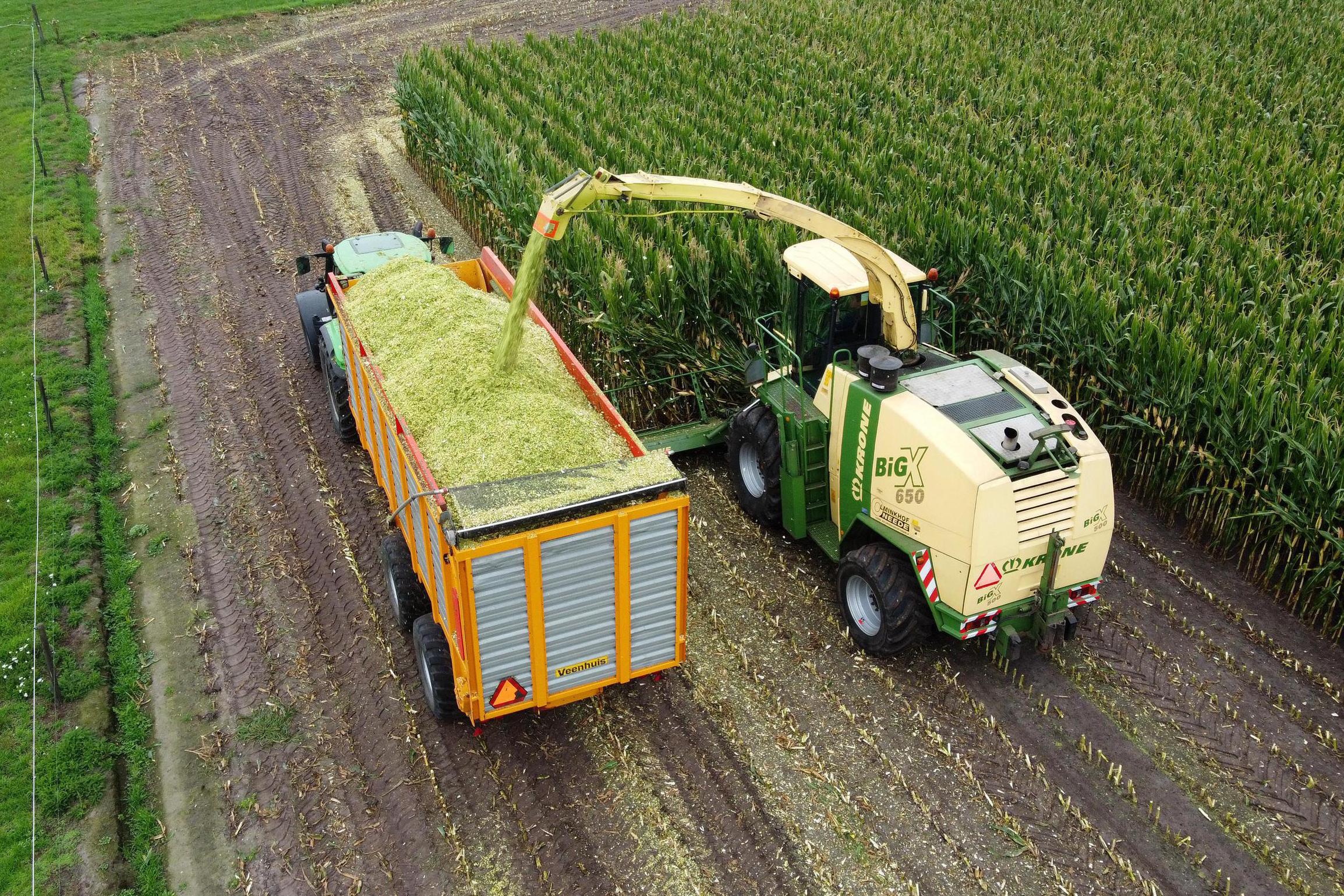 Man in maisveld overreden door oogstmachine: ‘De nachtmerrie van iedere loonwerker’