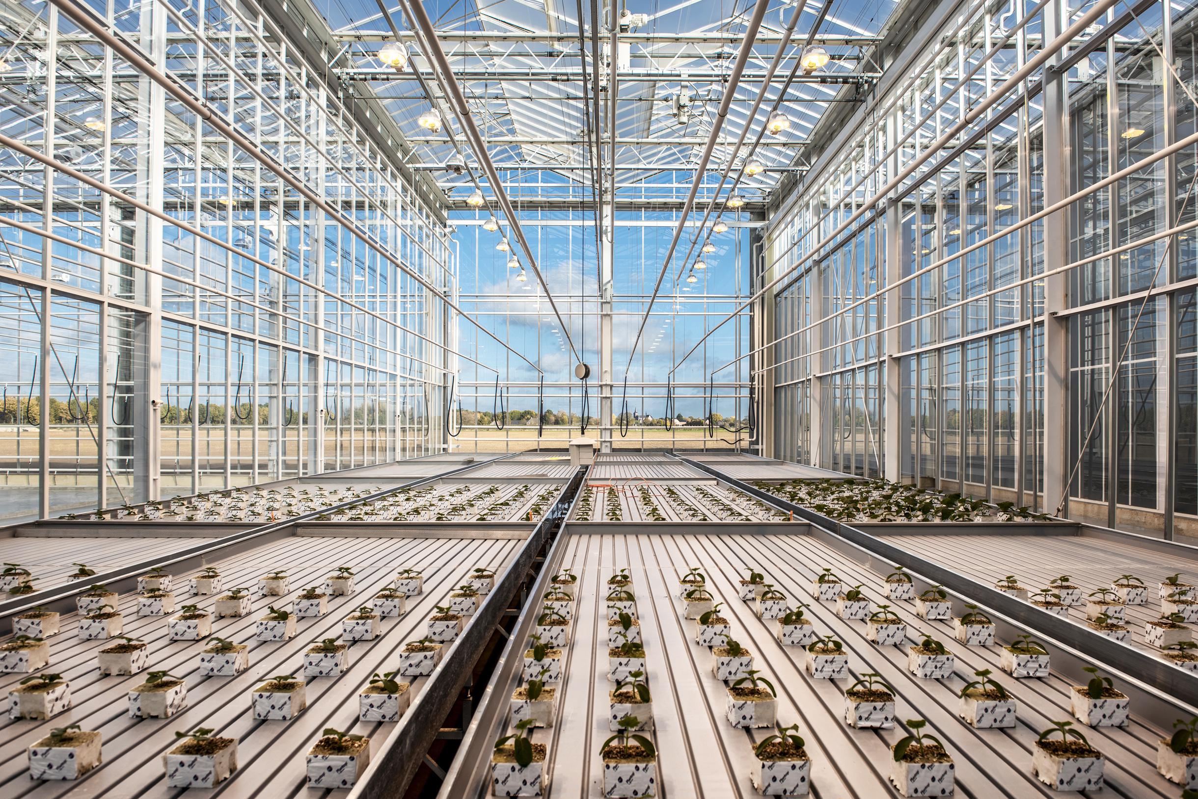 Chemieconcern BASF gooit organisatie op de schop en bezuinigt