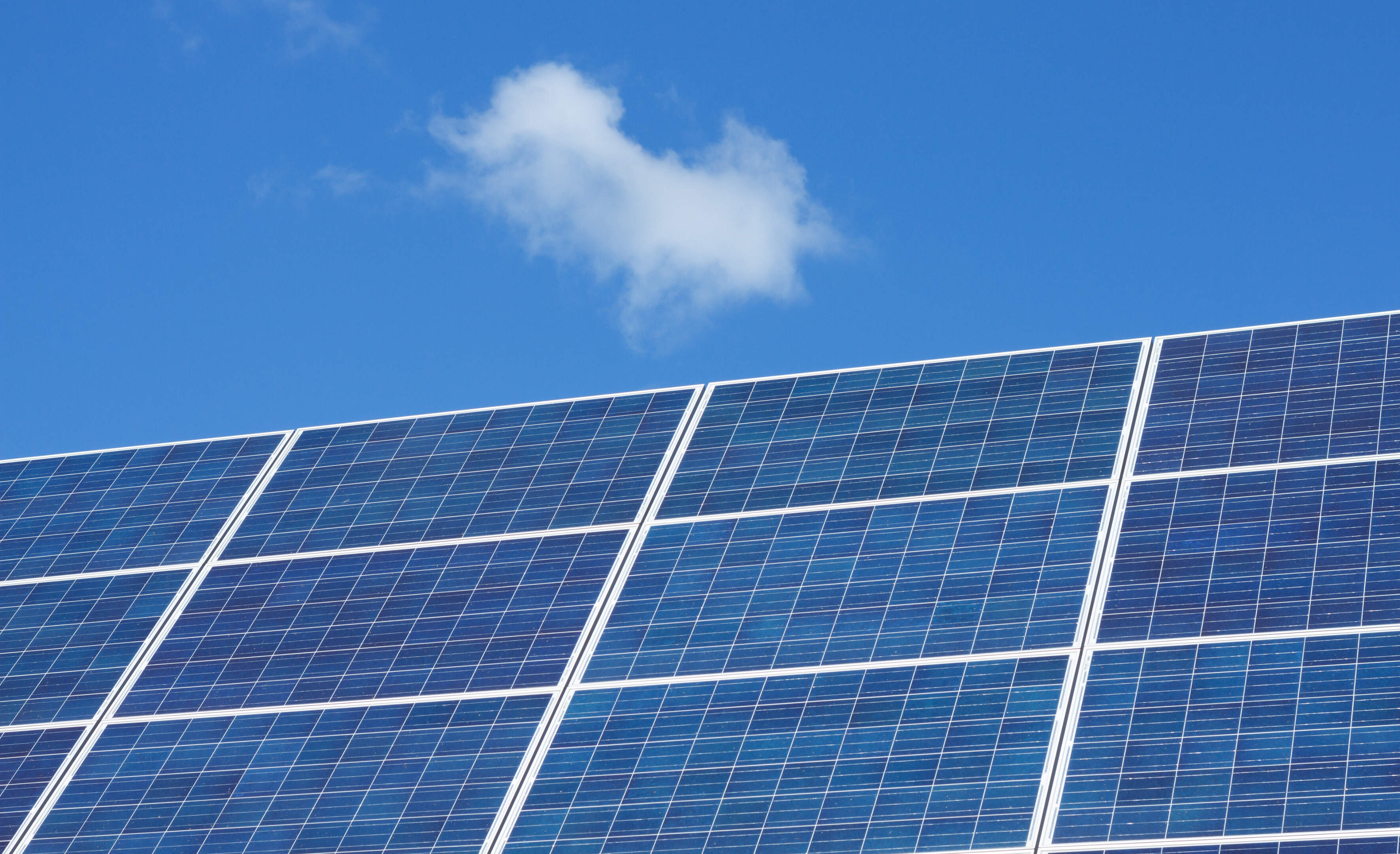 Vergunning zonnepark Beringe eindelijk definitief: Raad van State wijst bezwaren tegen gebruik landb