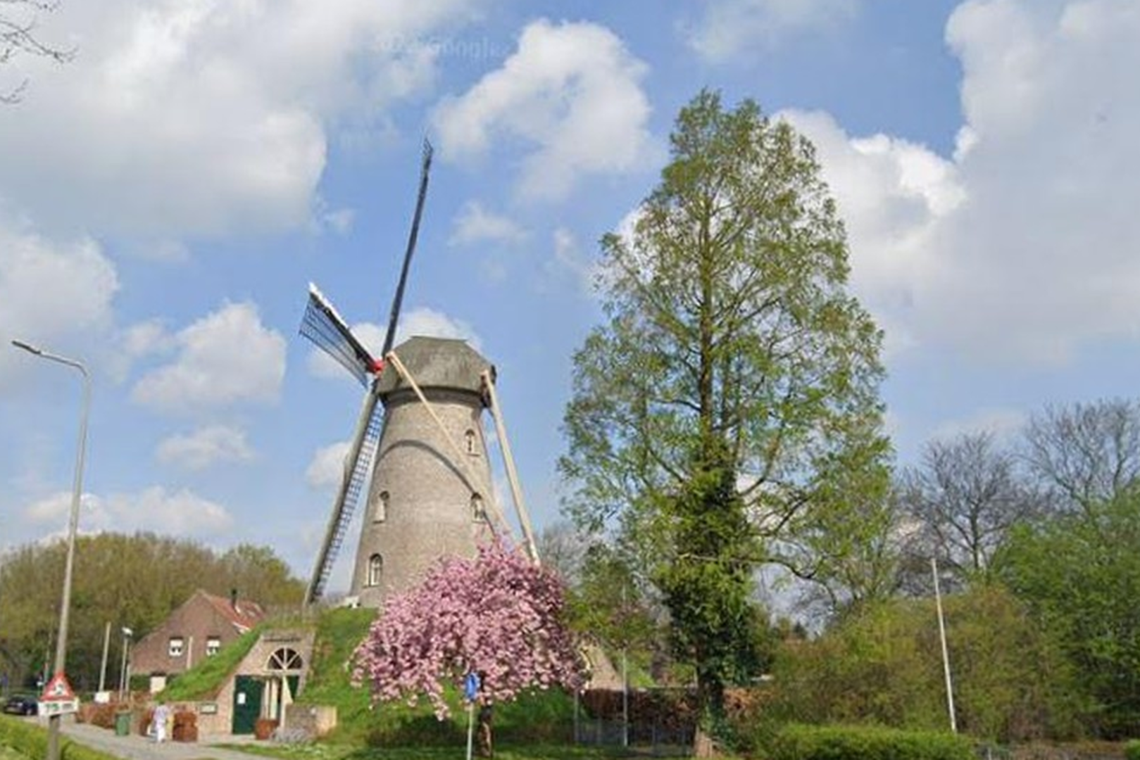 Zaag mag van rechter in watercipres naast de Wilhelmus-Hubertusmolen in ...