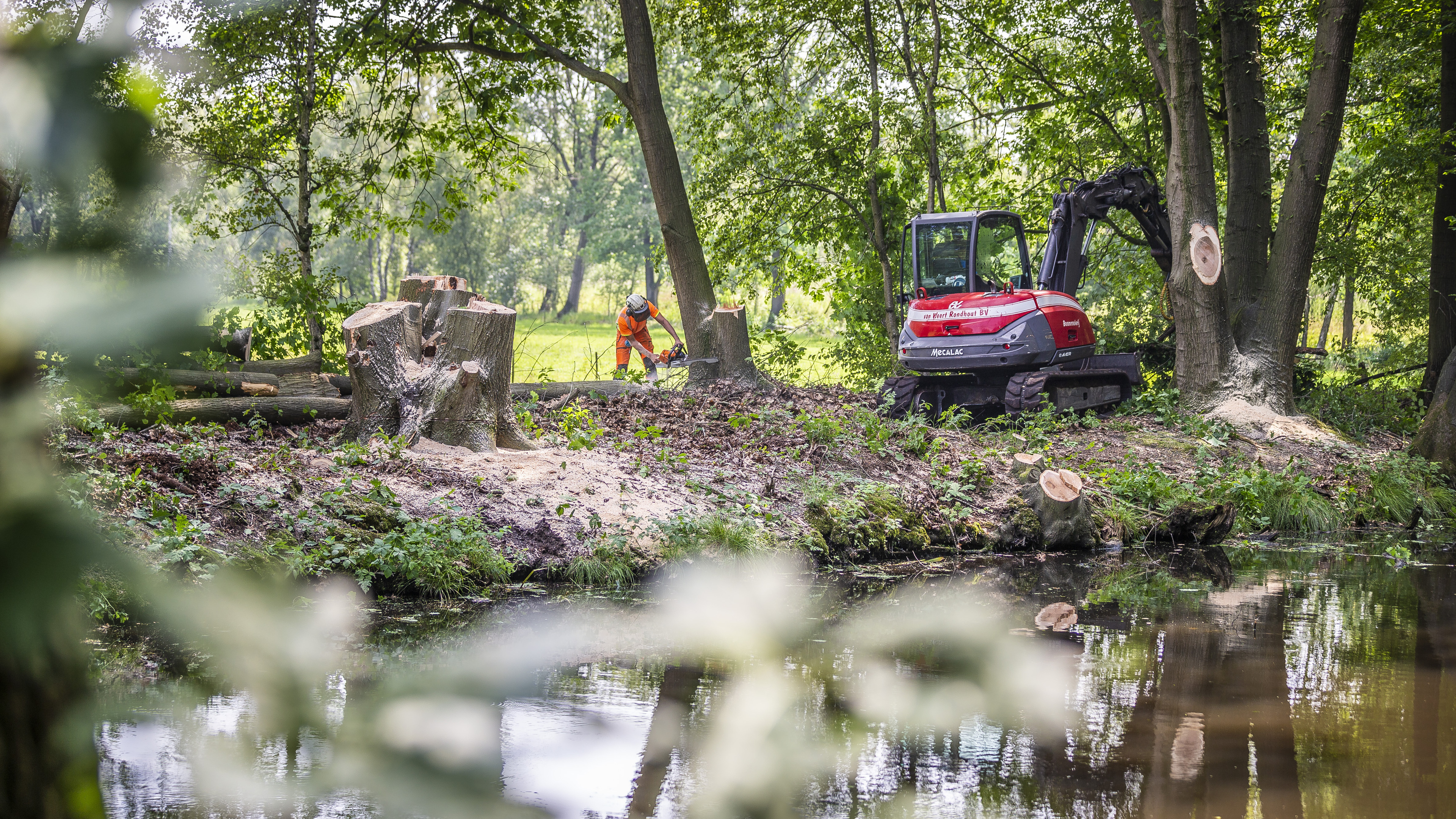 Herstel van slechte kade Helenavaart in Griendtsveen start met het kappen van bomen