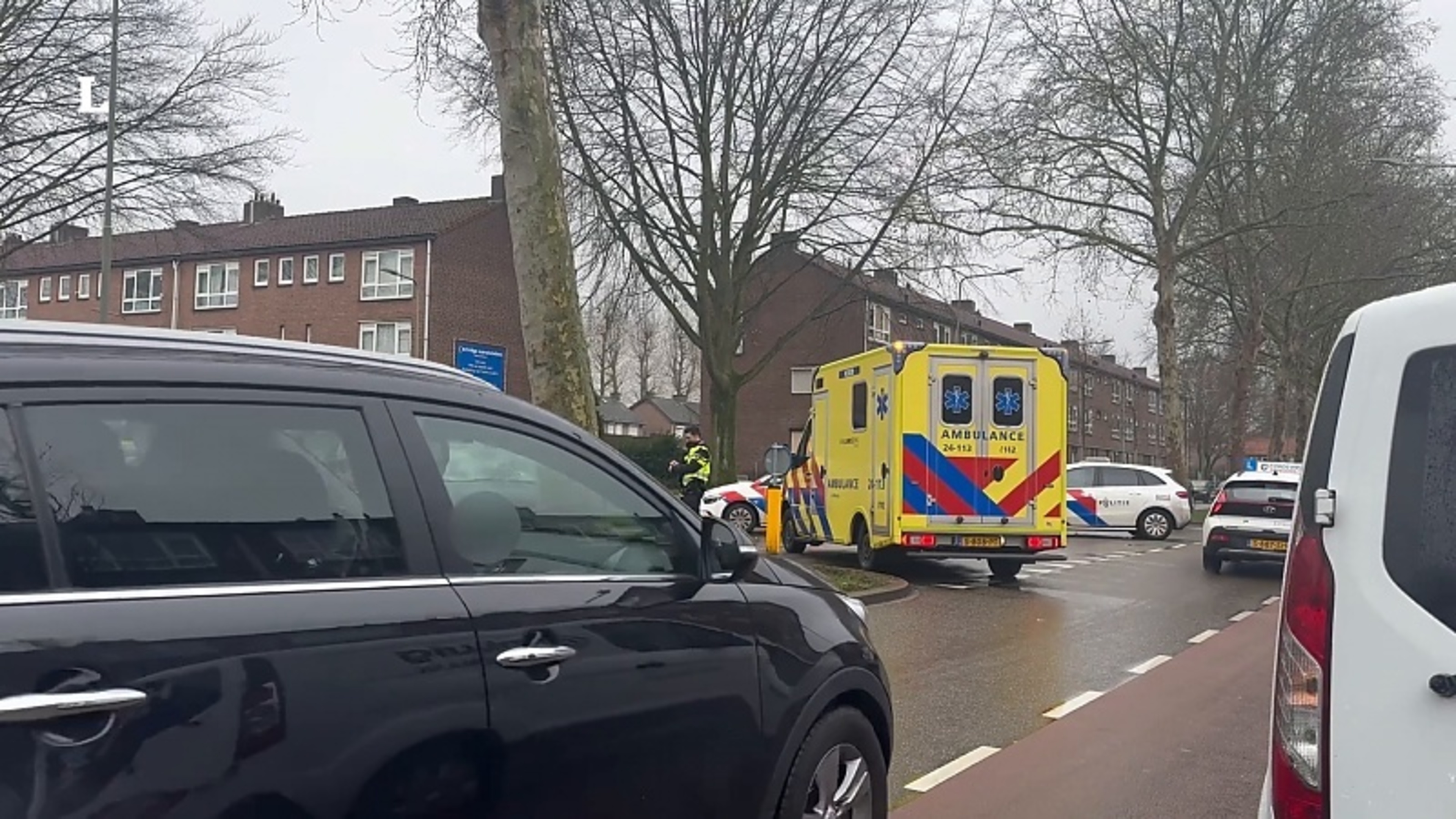 Auto botst tegen boom in Geleen, bestuurder gewond