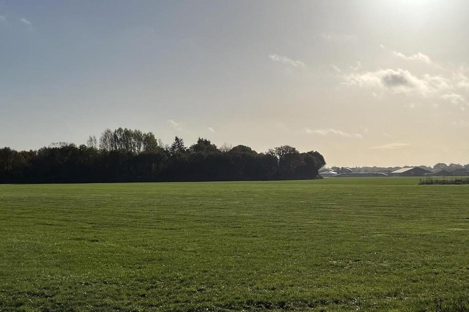 Venraysbroek.